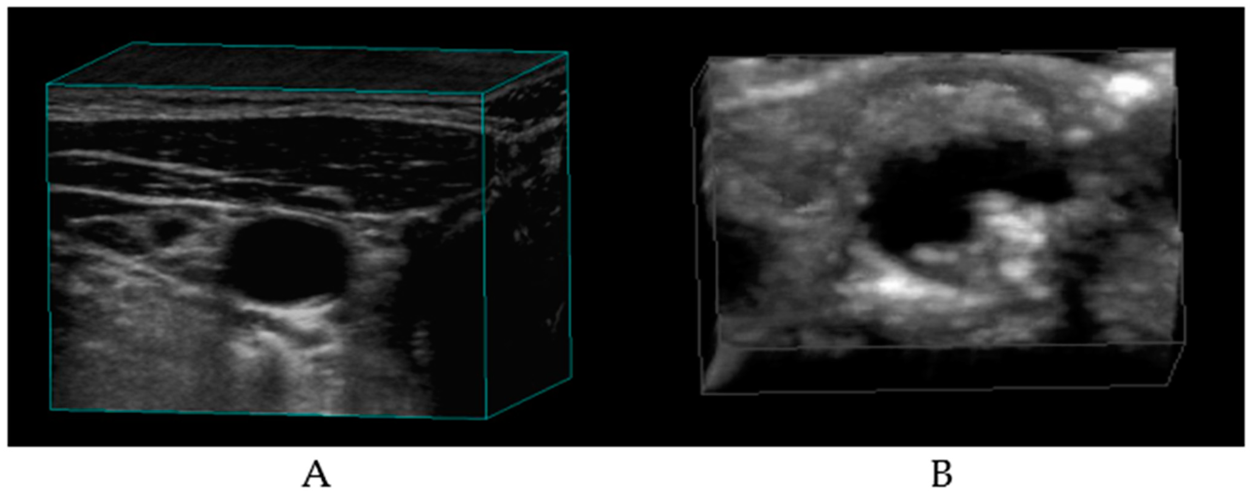 Biomolecules 14 00948 g005 Biomolecules 14 00948 g005