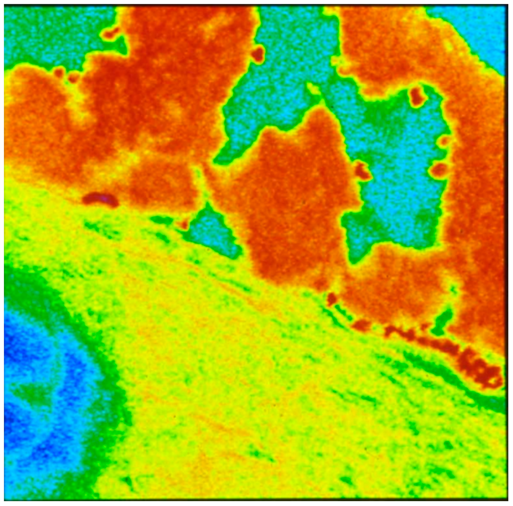 Biomolecules 14 00948 g006 Biomolecules 14 00948 g006