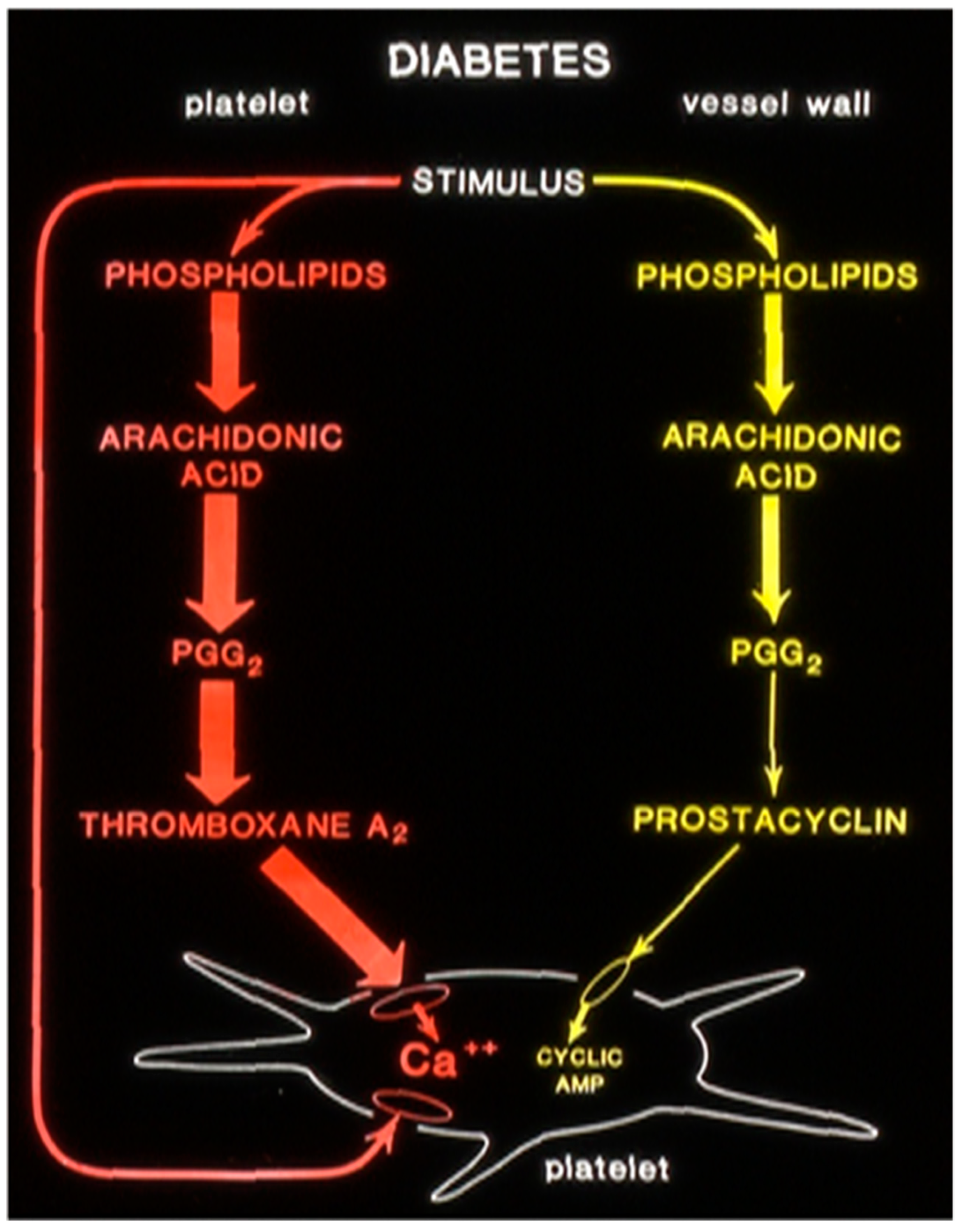 Biomolecules 14 00948 g007 Biomolecules 14 00948 g007
