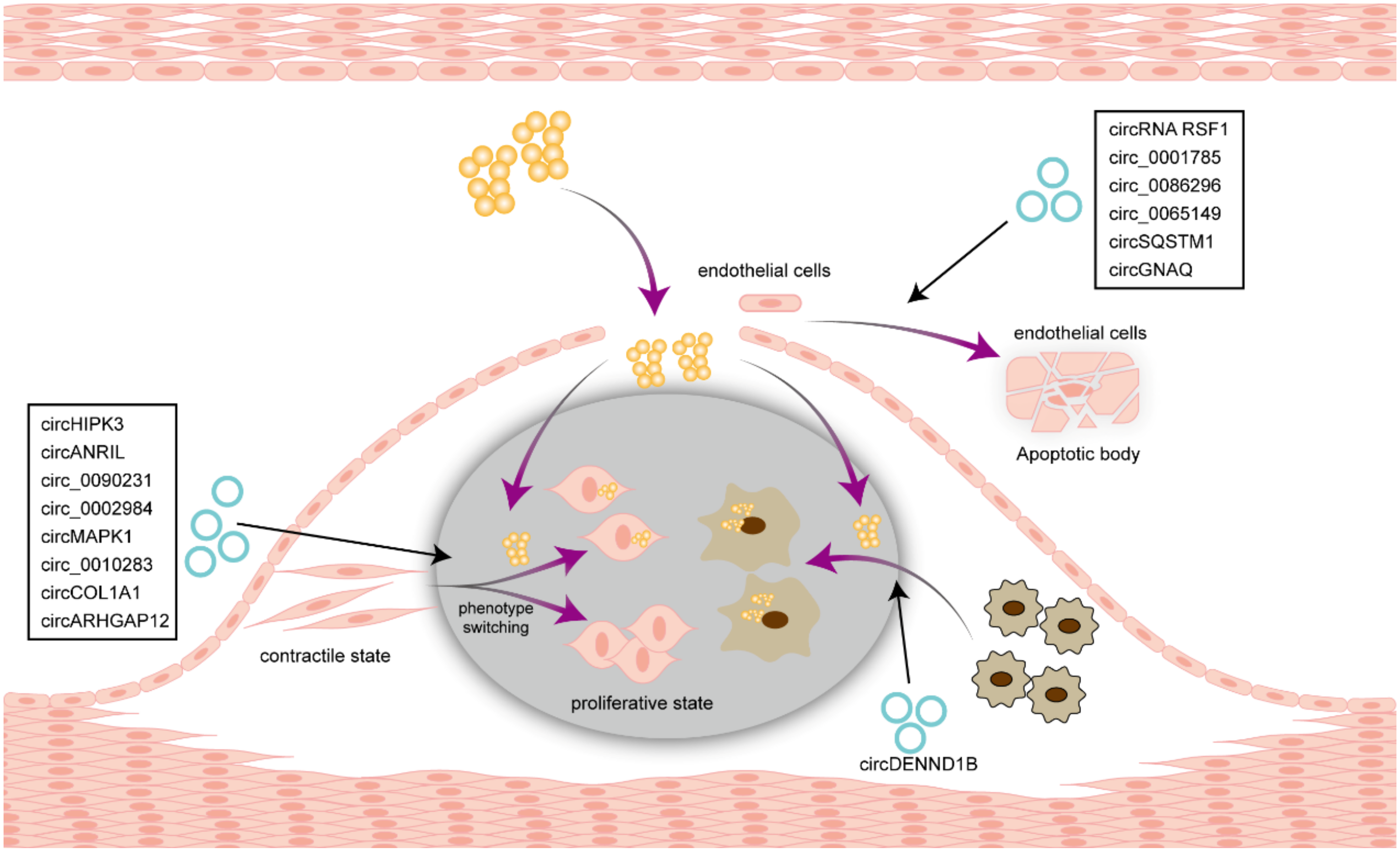 Biomolecules 14 00952 g003