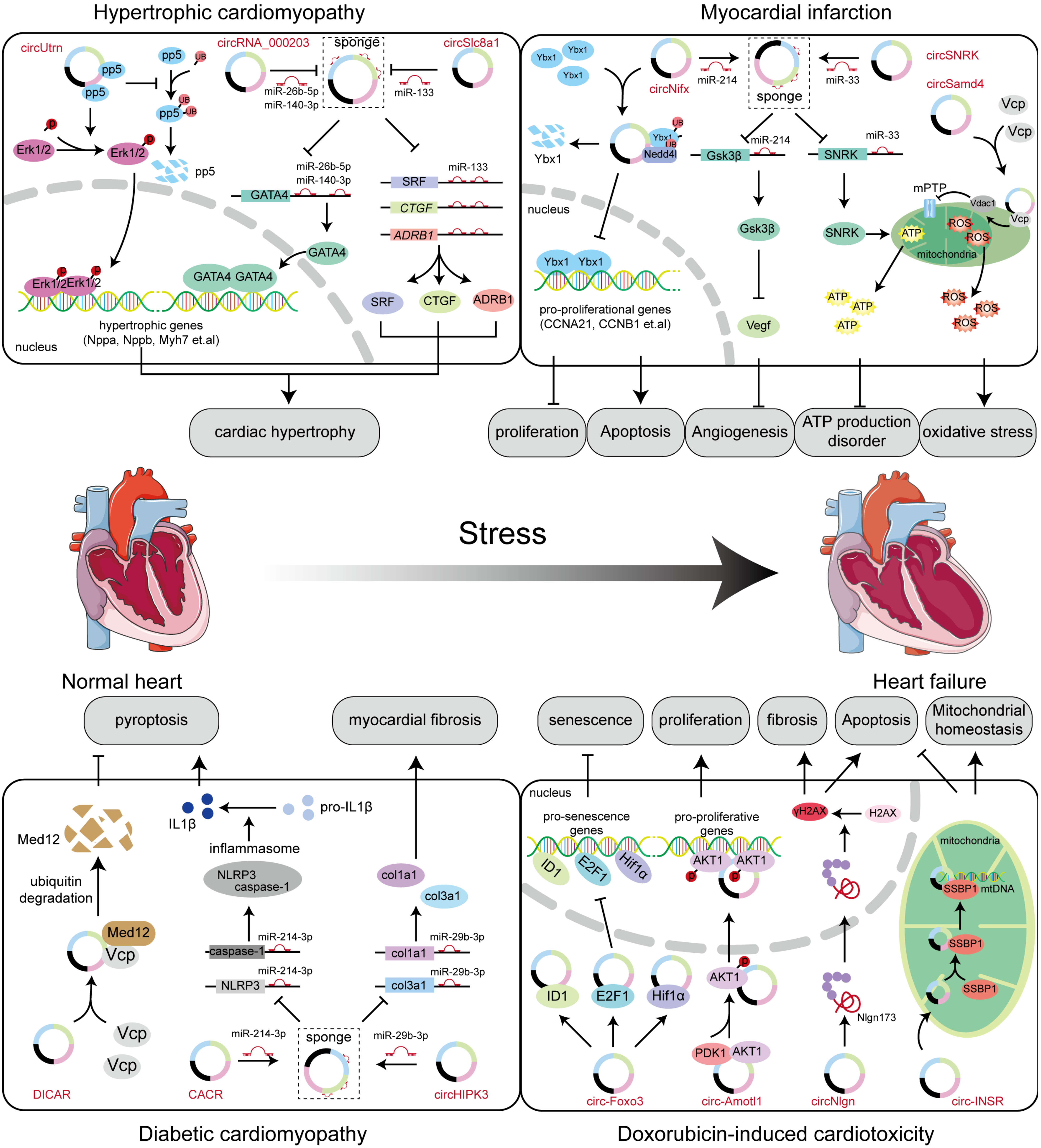 Biomolecules 14 00952 g005
