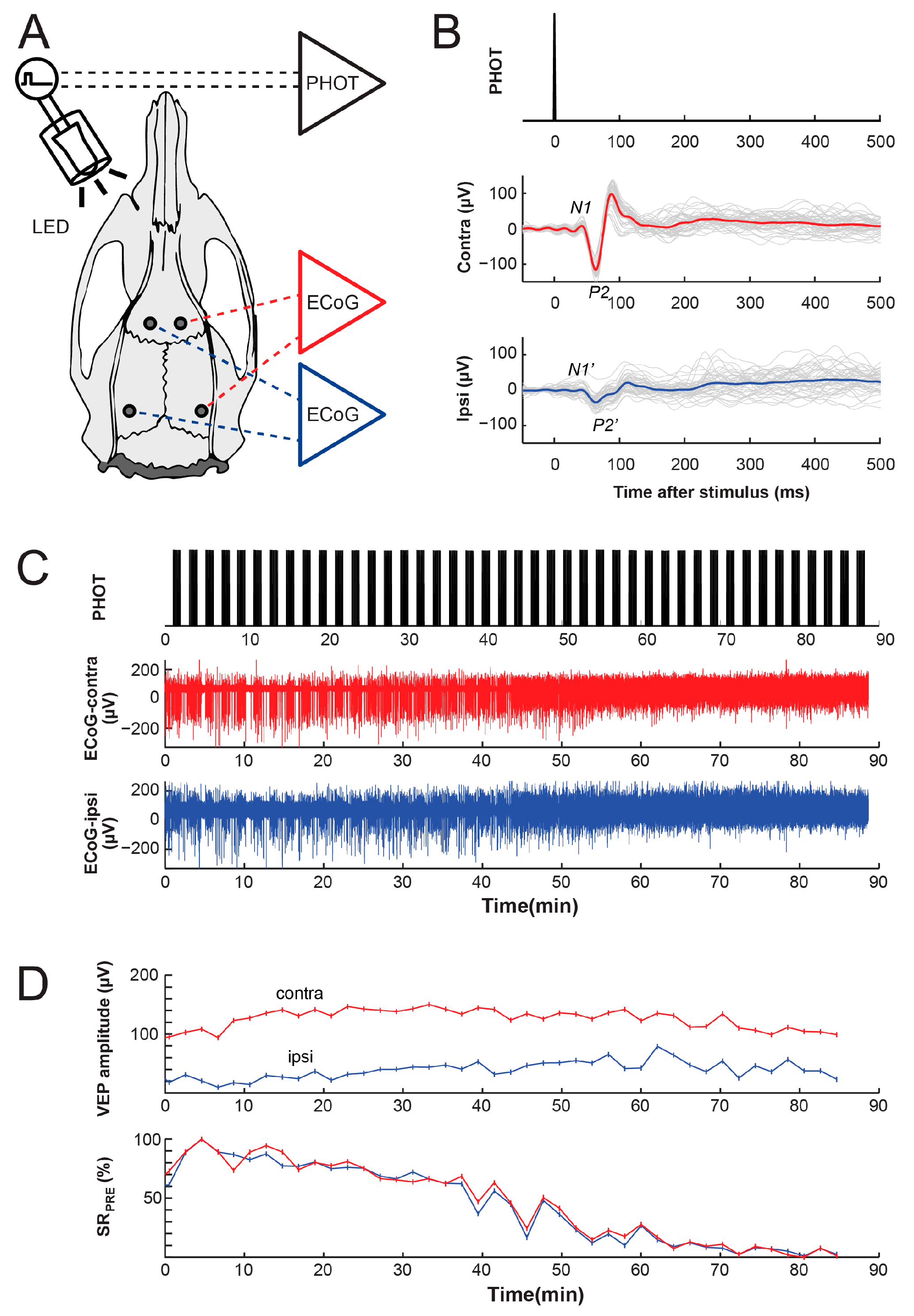 Biomolecules 14 00953 g001 Biomolecules 14 00953 g001