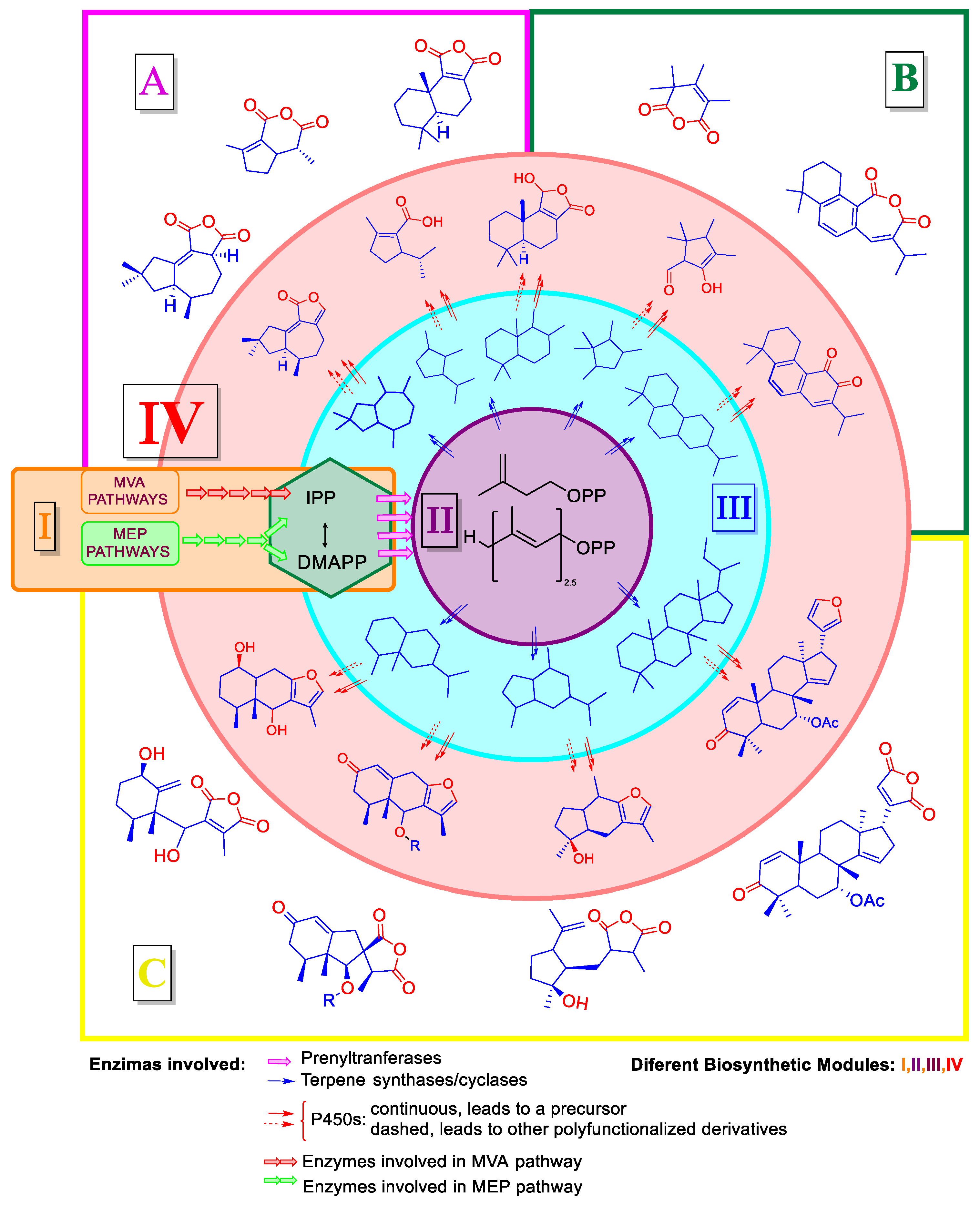 Biomolecules 14 00955 g001