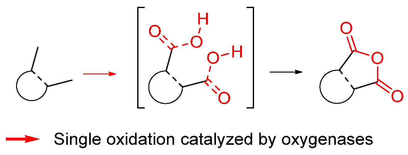 Biomolecules 14 00955 g002