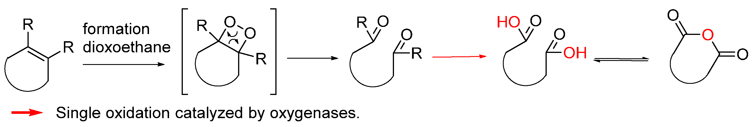 Biomolecules 14 00955 g003