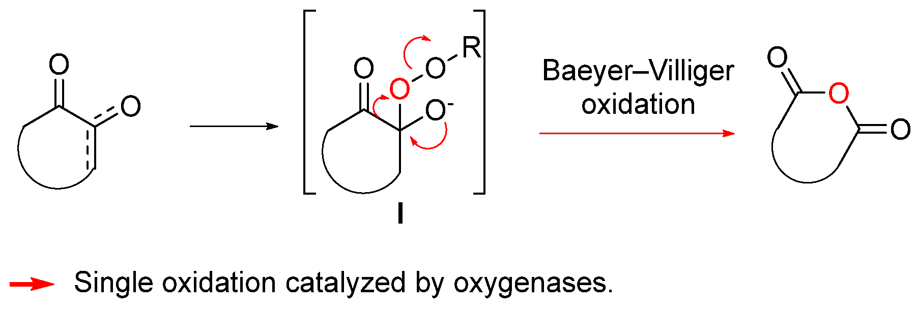 Biomolecules 14 00955 g004