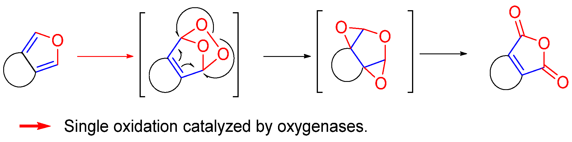 Biomolecules 14 00955 g006
