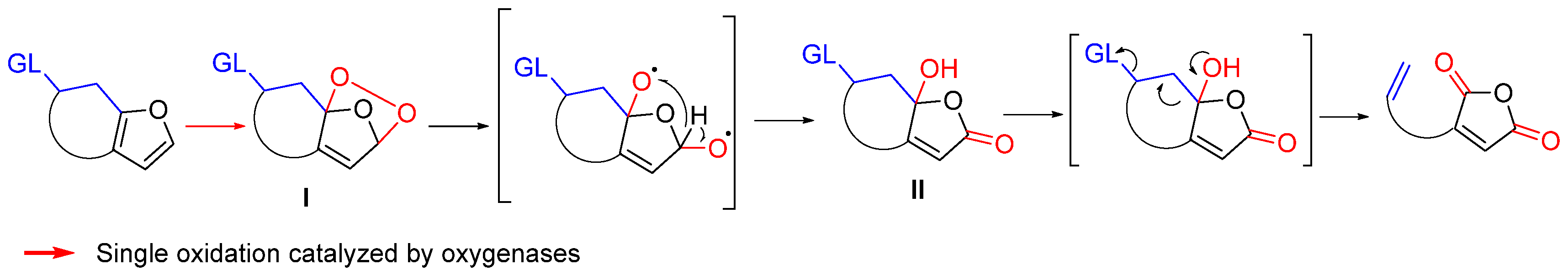 Biomolecules 14 00955 g007