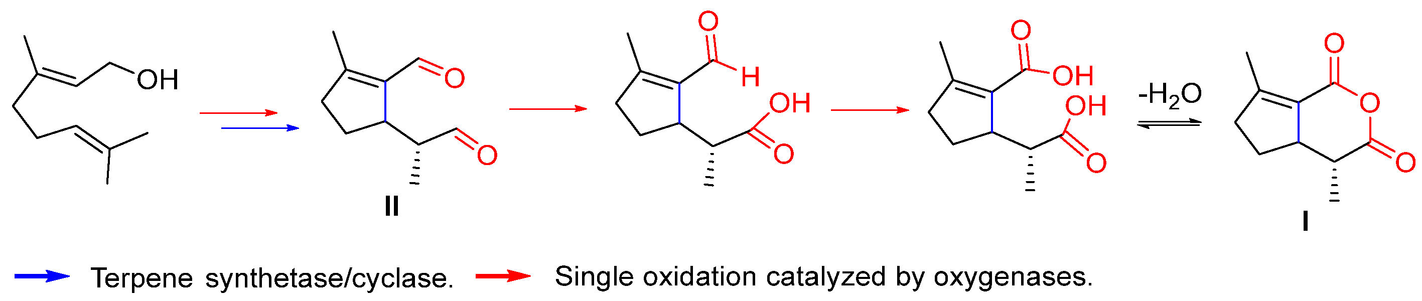 Biomolecules 14 00955 sch001