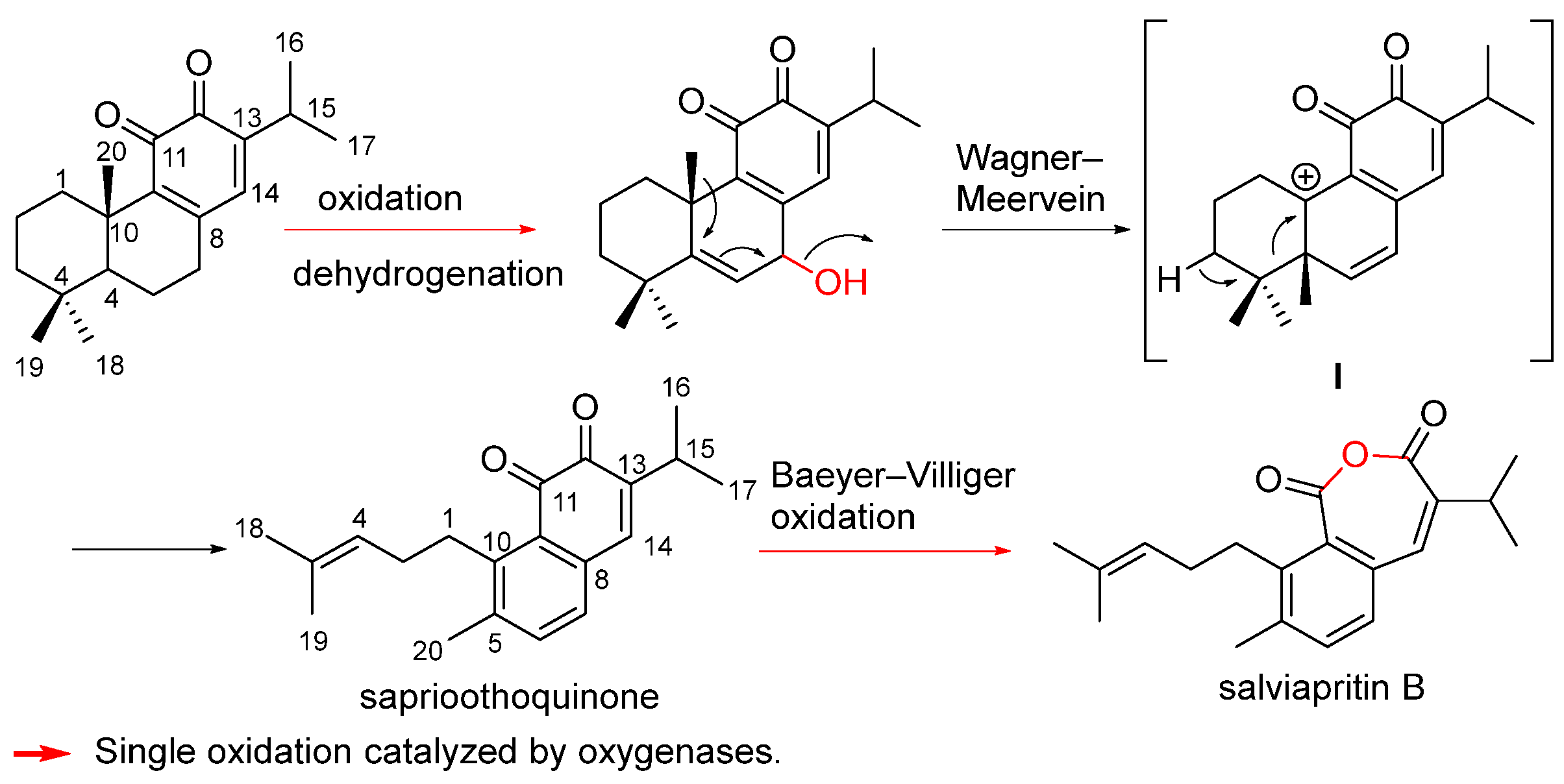 Biomolecules 14 00955 sch003
