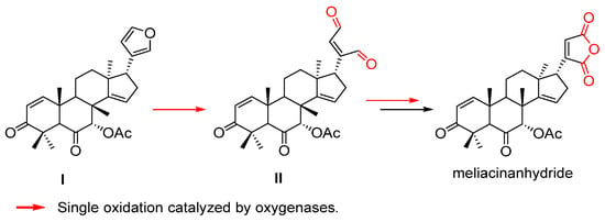 Natural Occurring Terpene Cyclic Anhydrides: Biosynthetic Origin and  Biological Activities