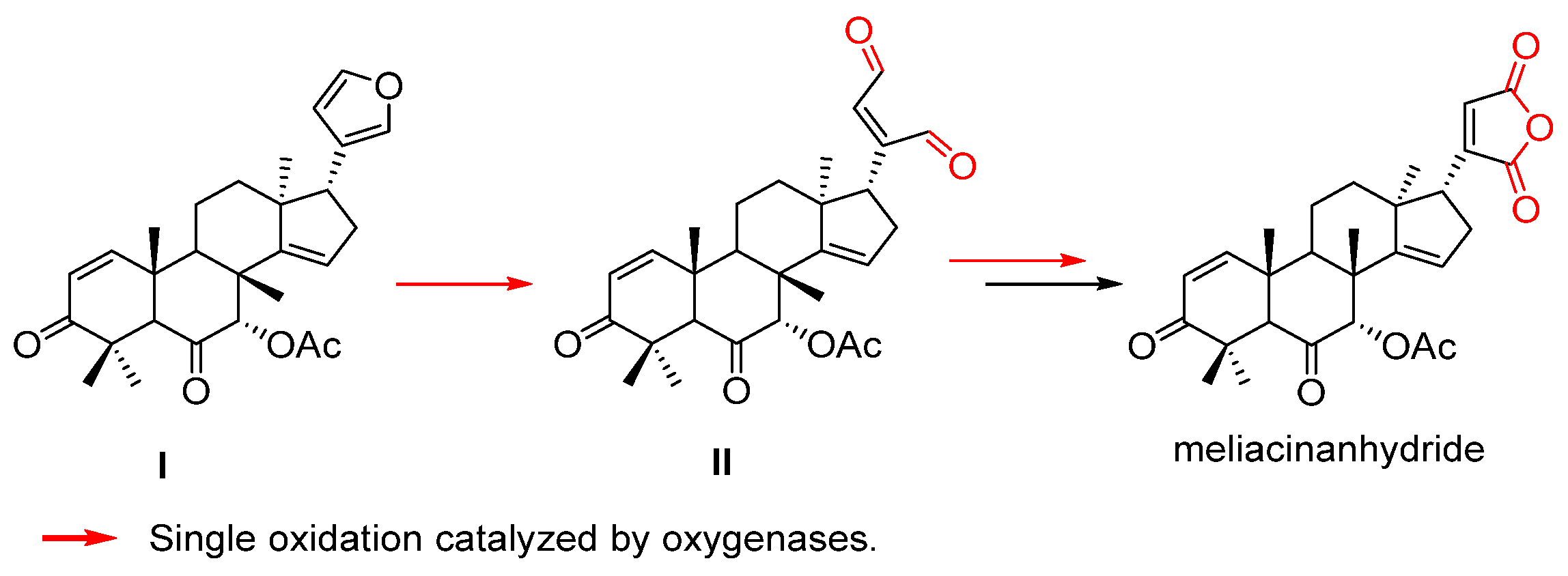 Biomolecules 14 00955 sch004