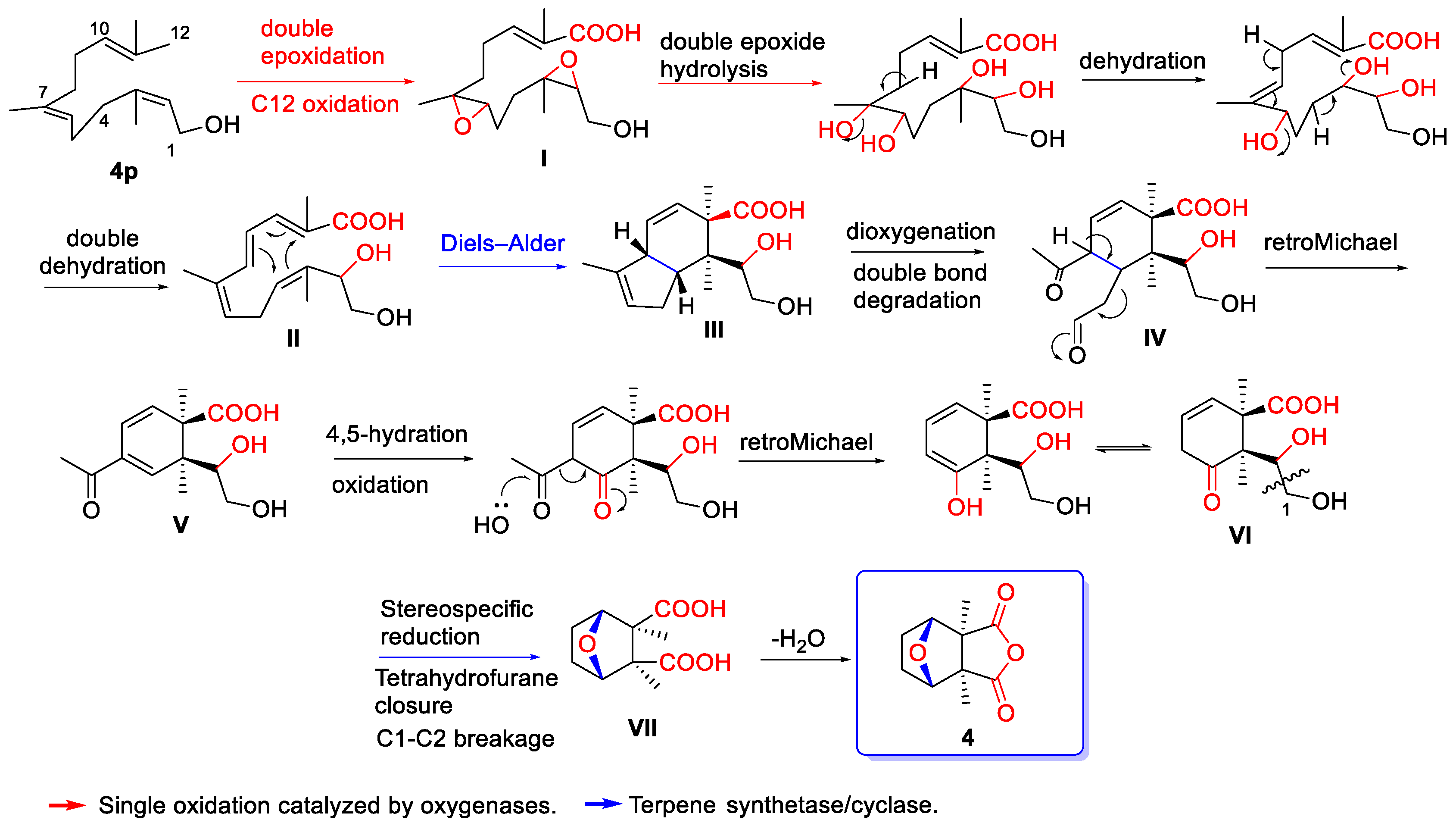 Biomolecules 14 00955 sch007