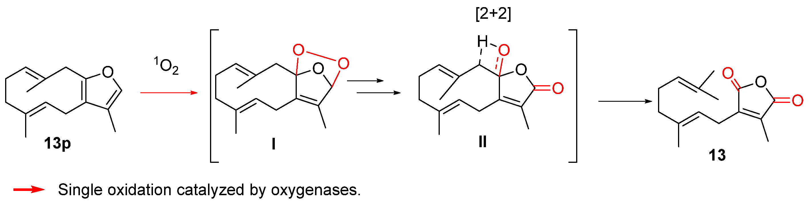 Biomolecules 14 00955 sch008