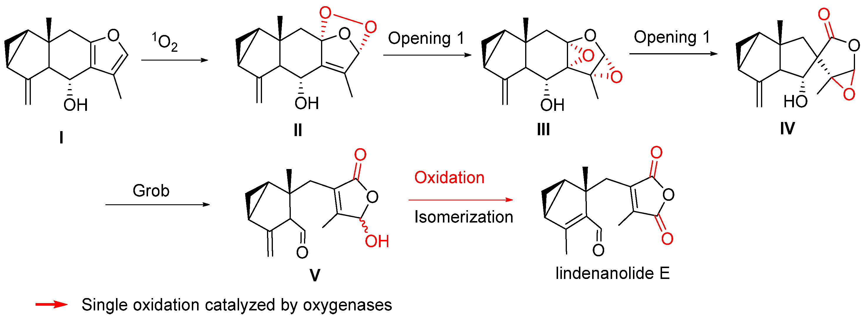 Biomolecules 14 00955 sch009