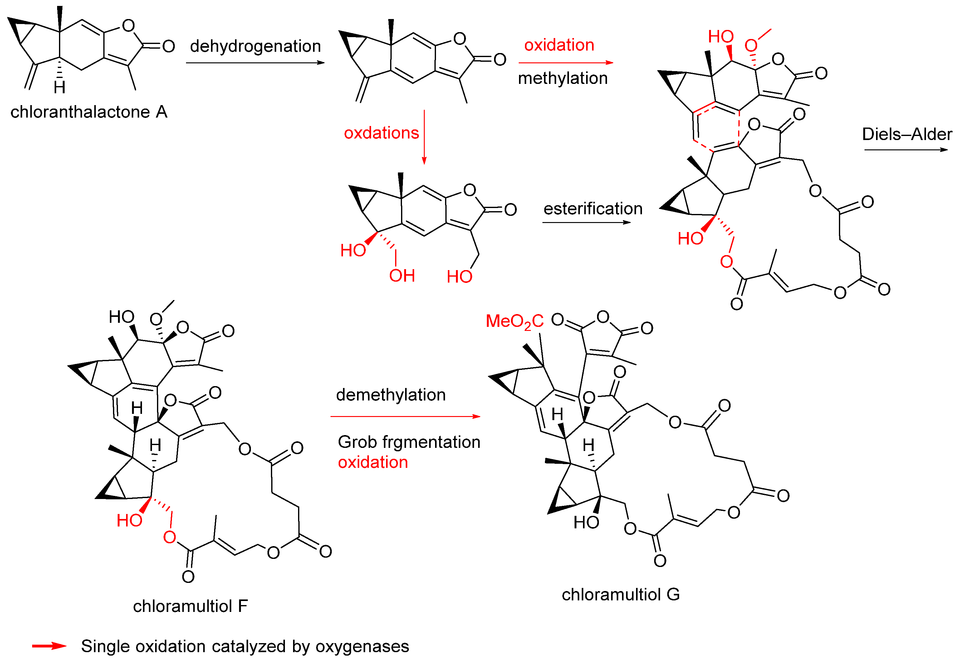 Biomolecules 14 00955 sch010