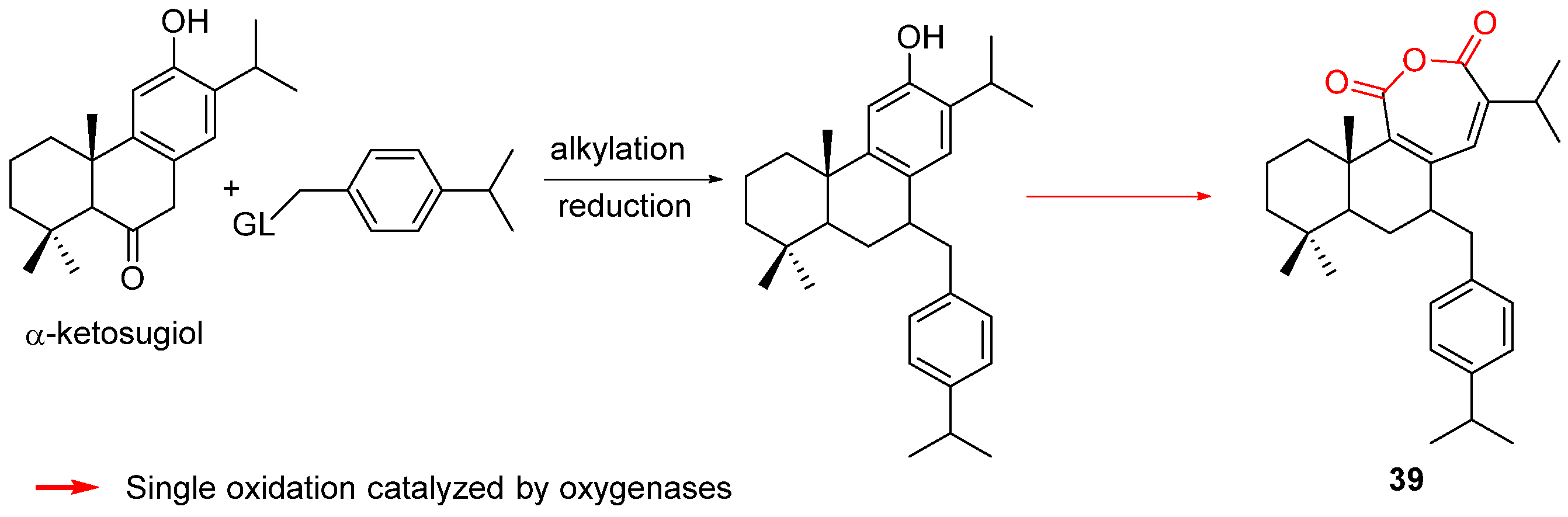 Biomolecules 14 00955 sch013