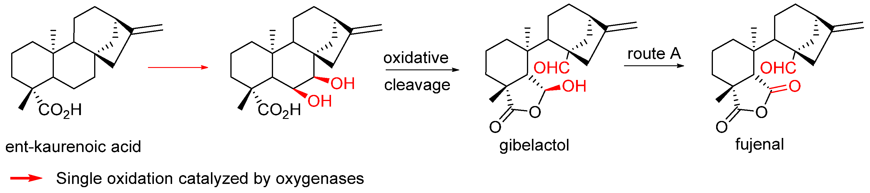 Biomolecules 14 00955 sch015