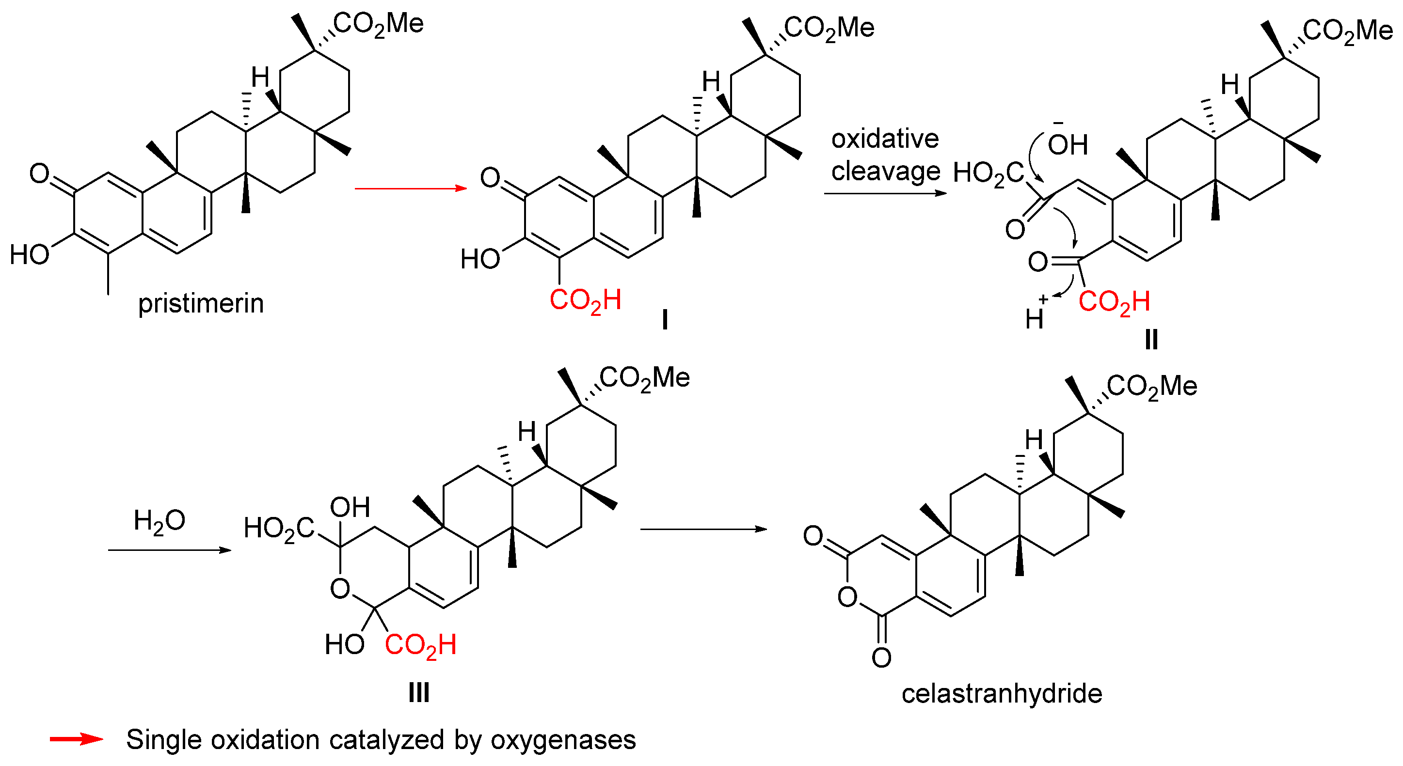 Biomolecules 14 00955 sch016