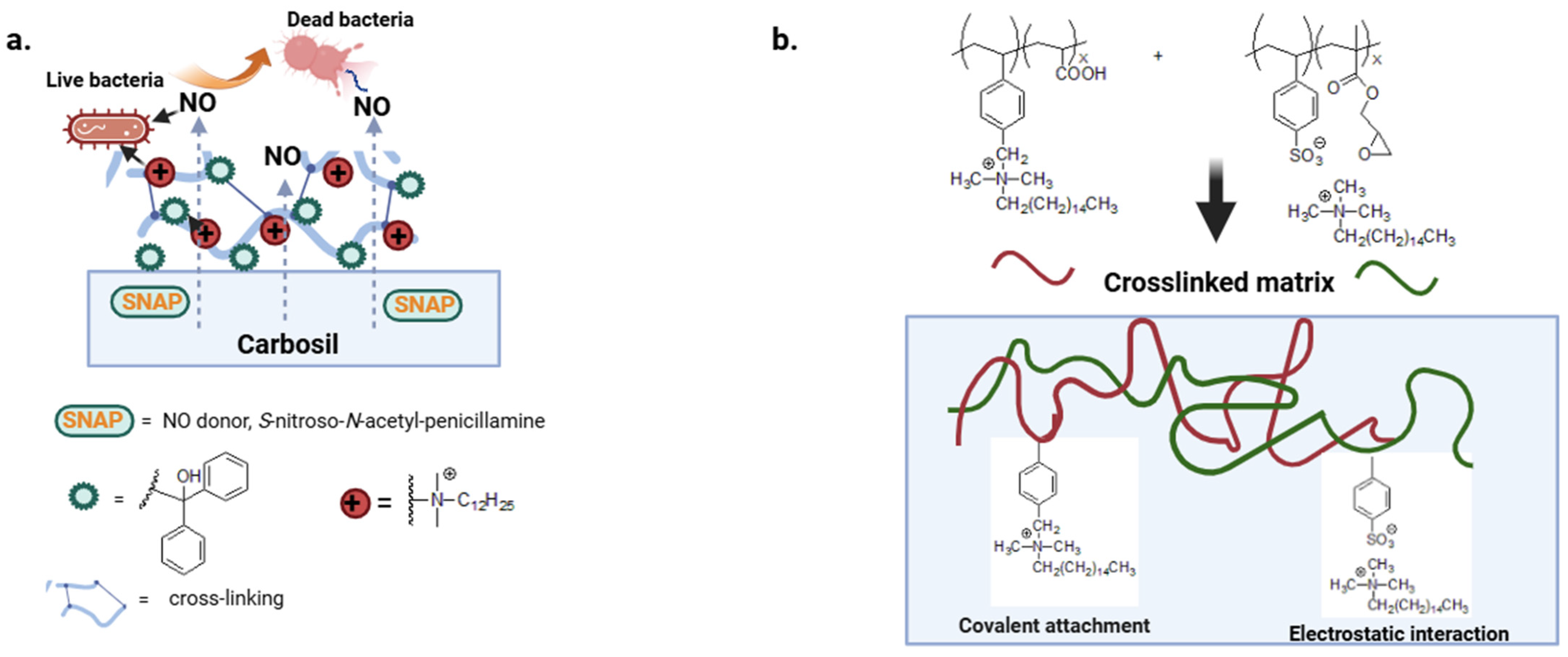 Biomolecules 14 00957 g006