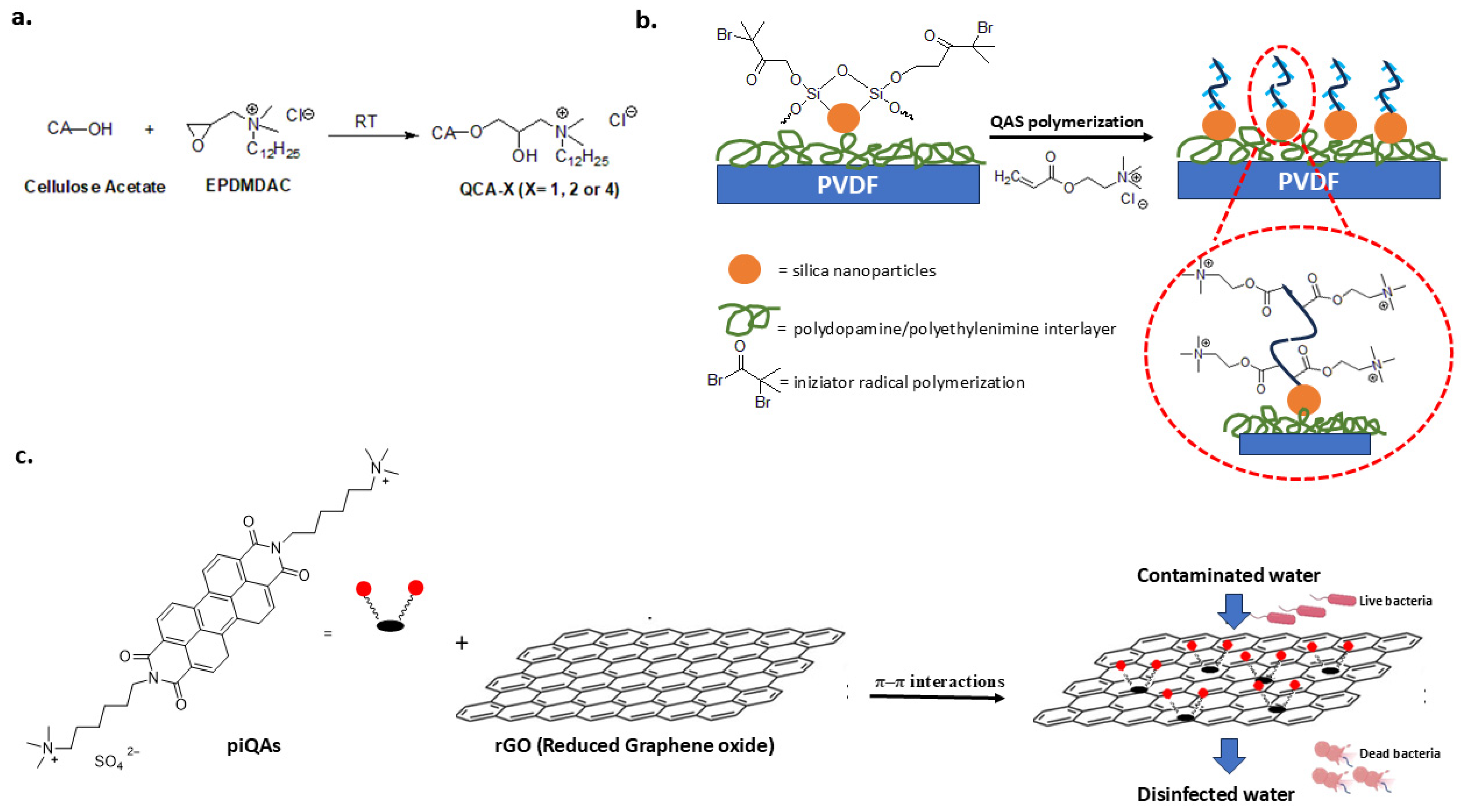 Biomolecules 14 00957 g010
