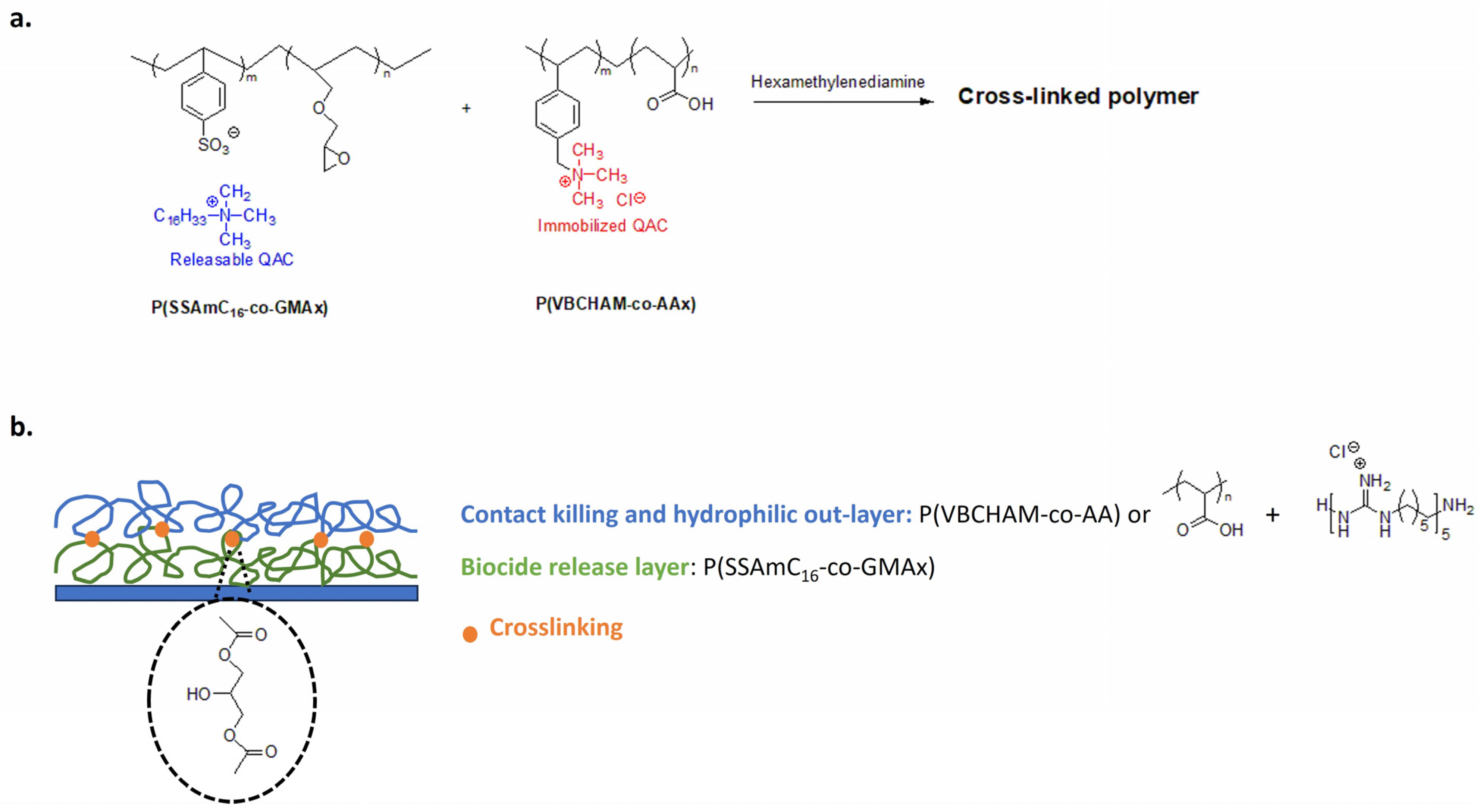 Biomolecules 14 00957 g015