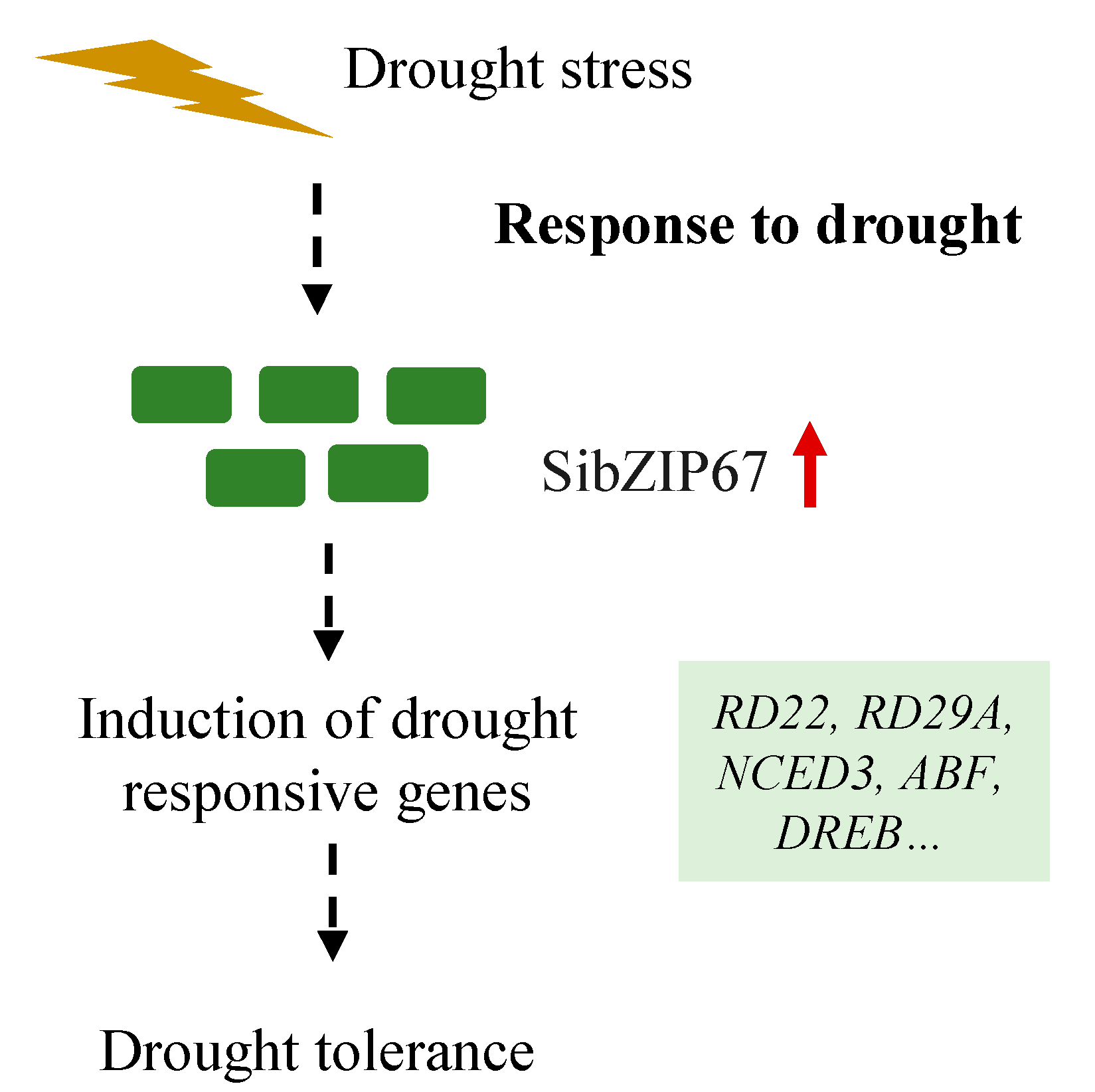 Biomolecules 14 00958 g008