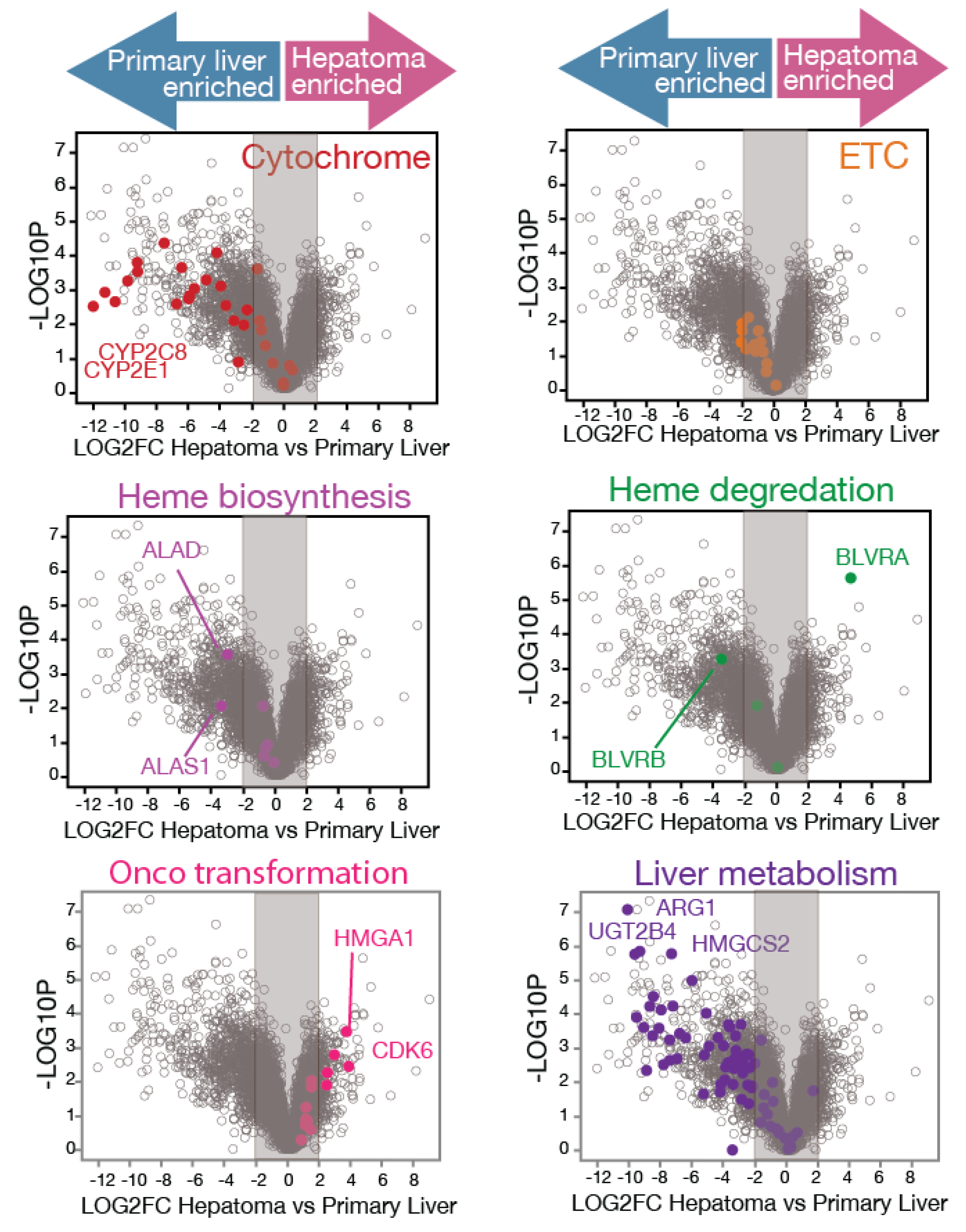 Biomolecules 14 00959 g001