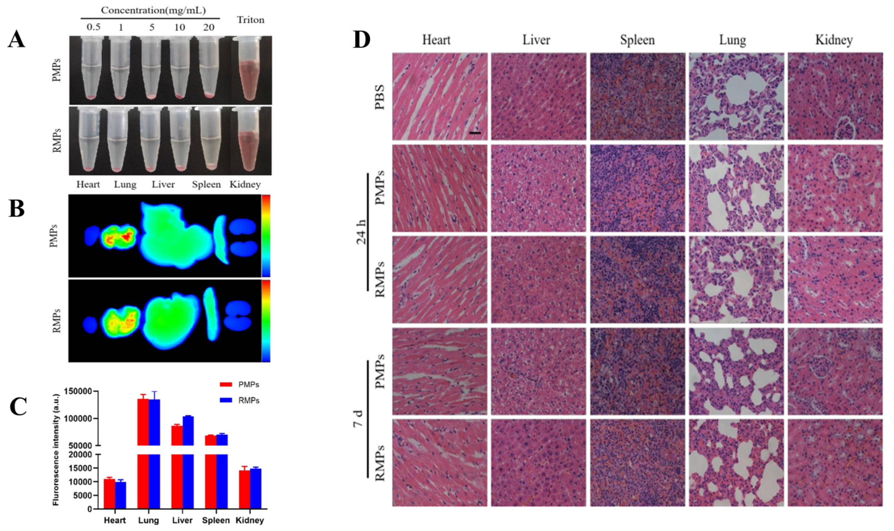Biomolecules 14 00960 g010