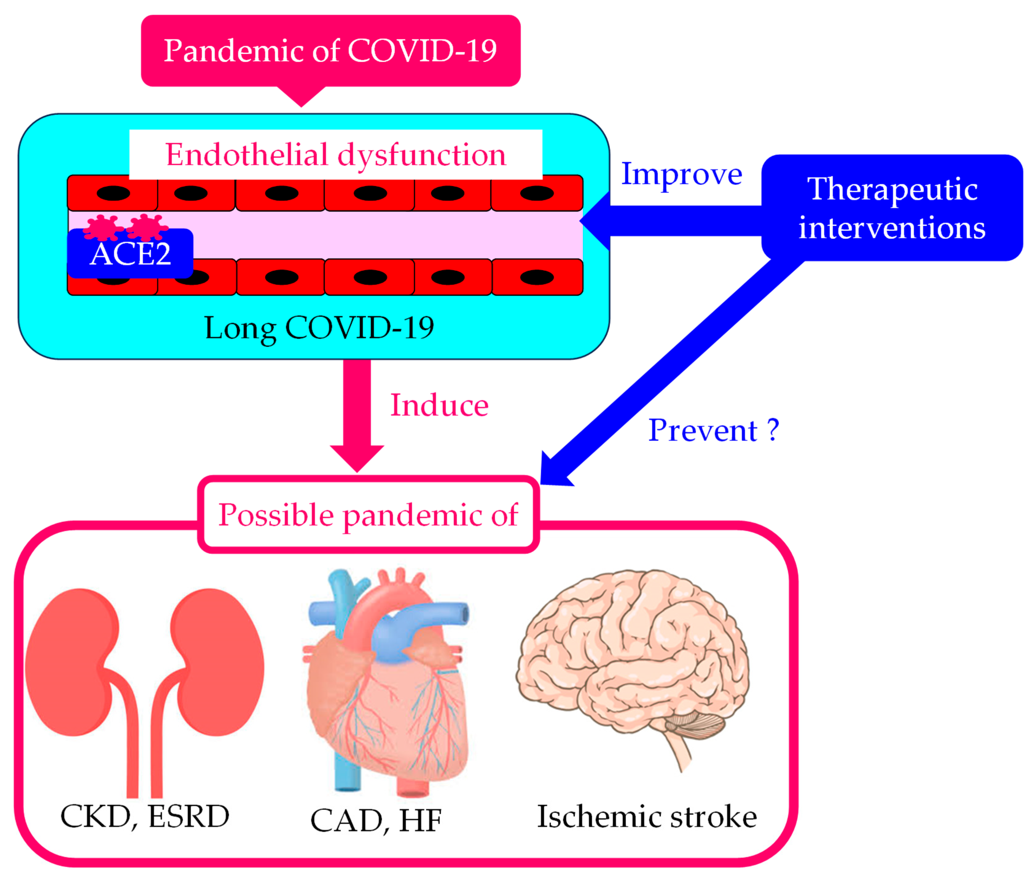 Biomolecules 14 00965 g003