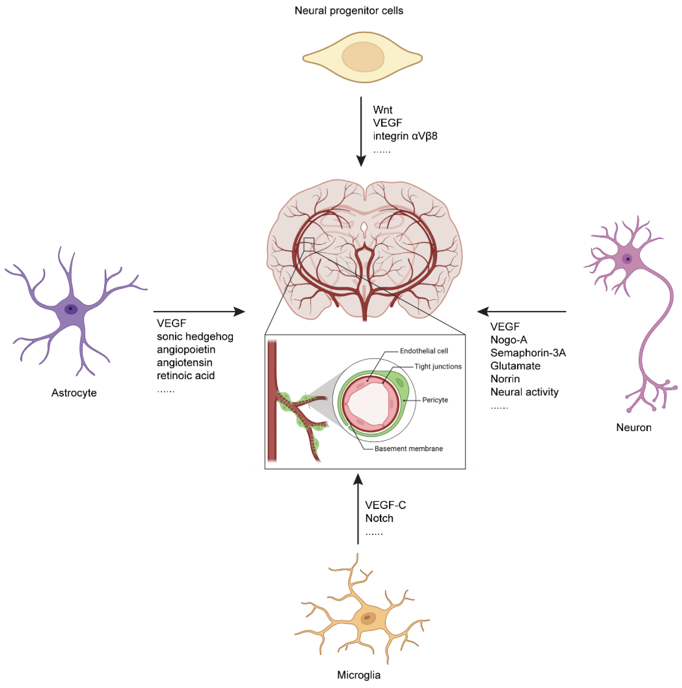 Biomolecules 14 00966 g002
