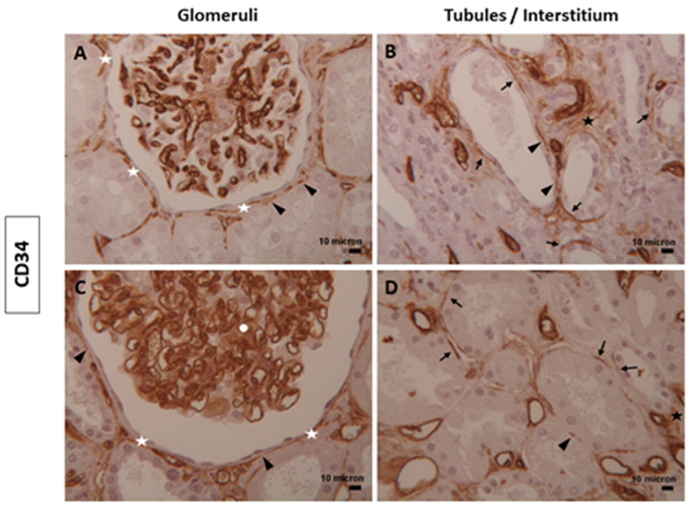 Biomolecules 14 00968 g001