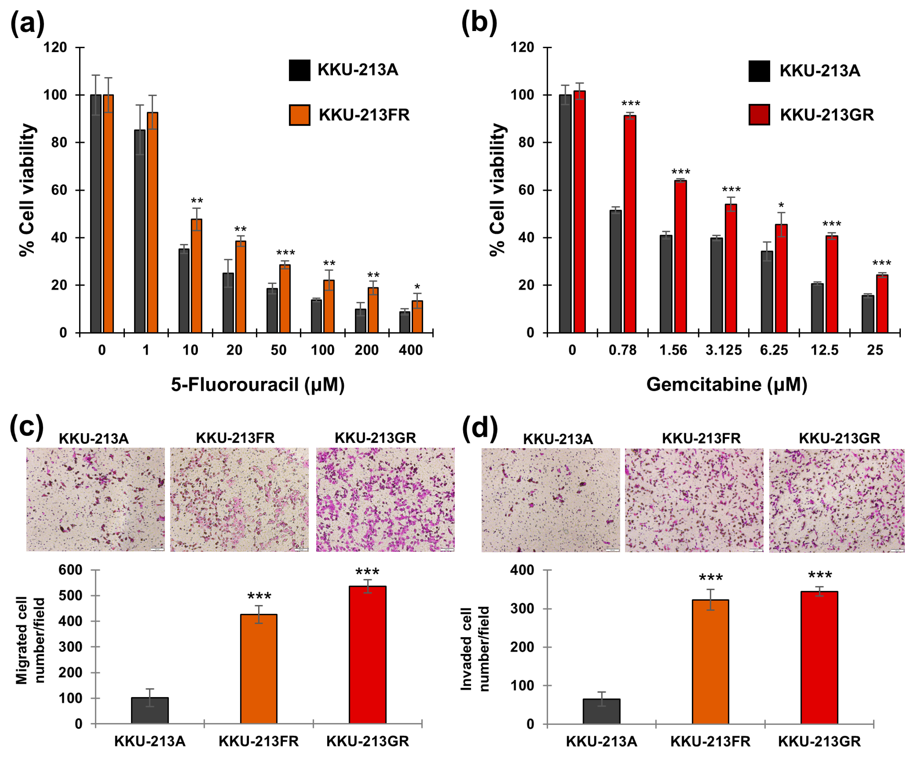 Biomolecules 14 00969 g001 Biomolecules 14 00969 g001