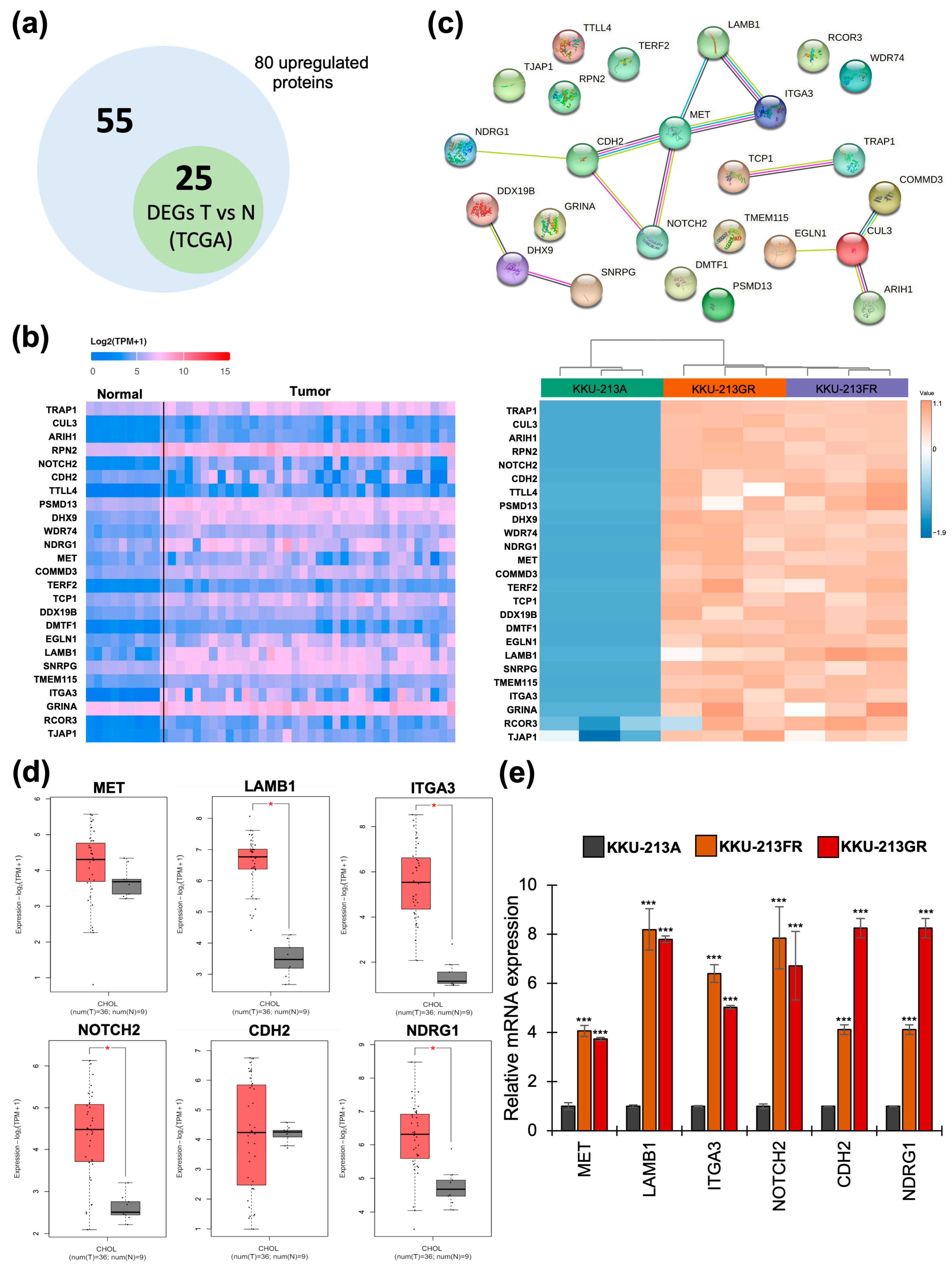 Biomolecules 14 00969 g004 Biomolecules 14 00969 g004