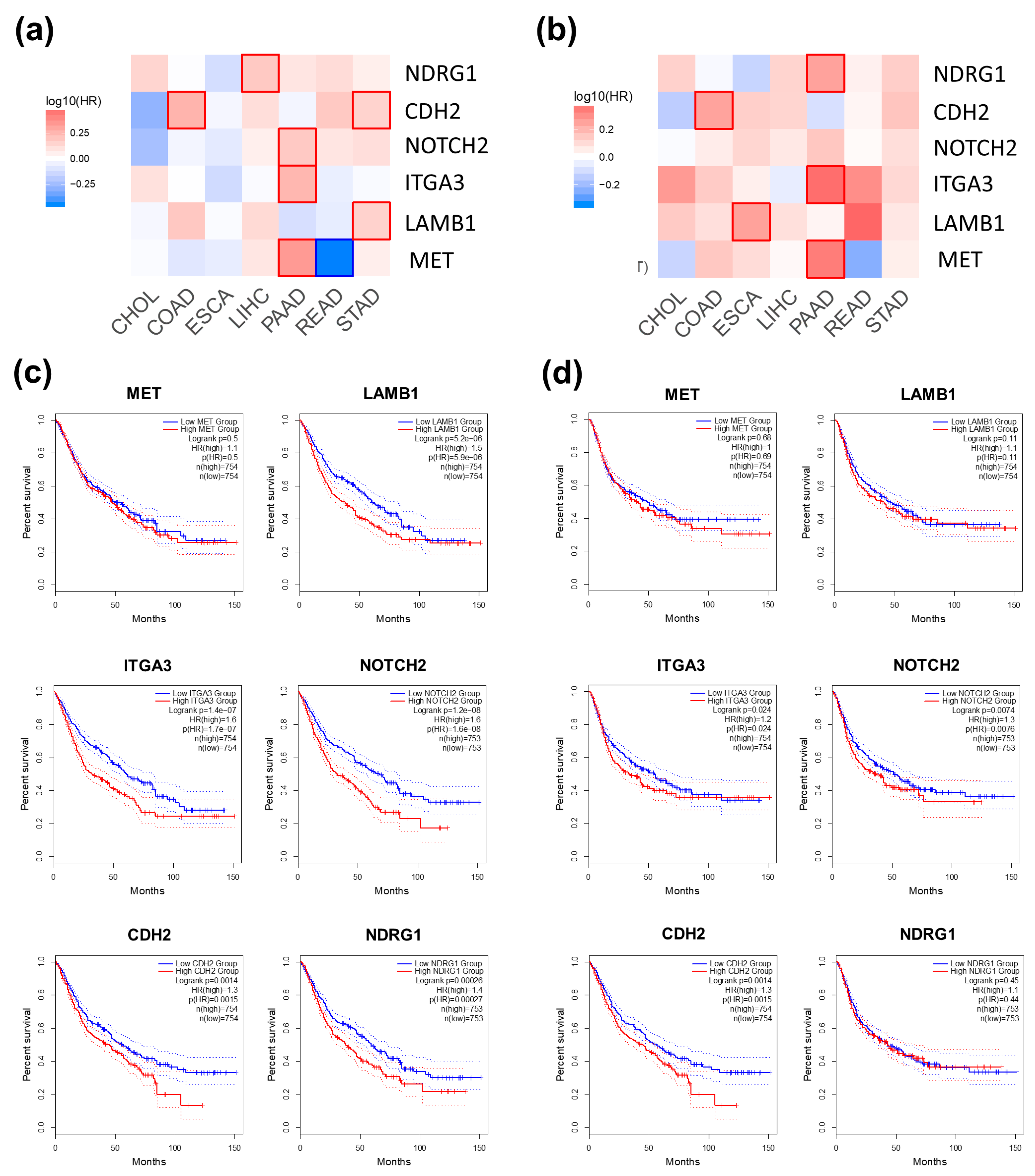 Biomolecules 14 00969 g005 Biomolecules 14 00969 g005