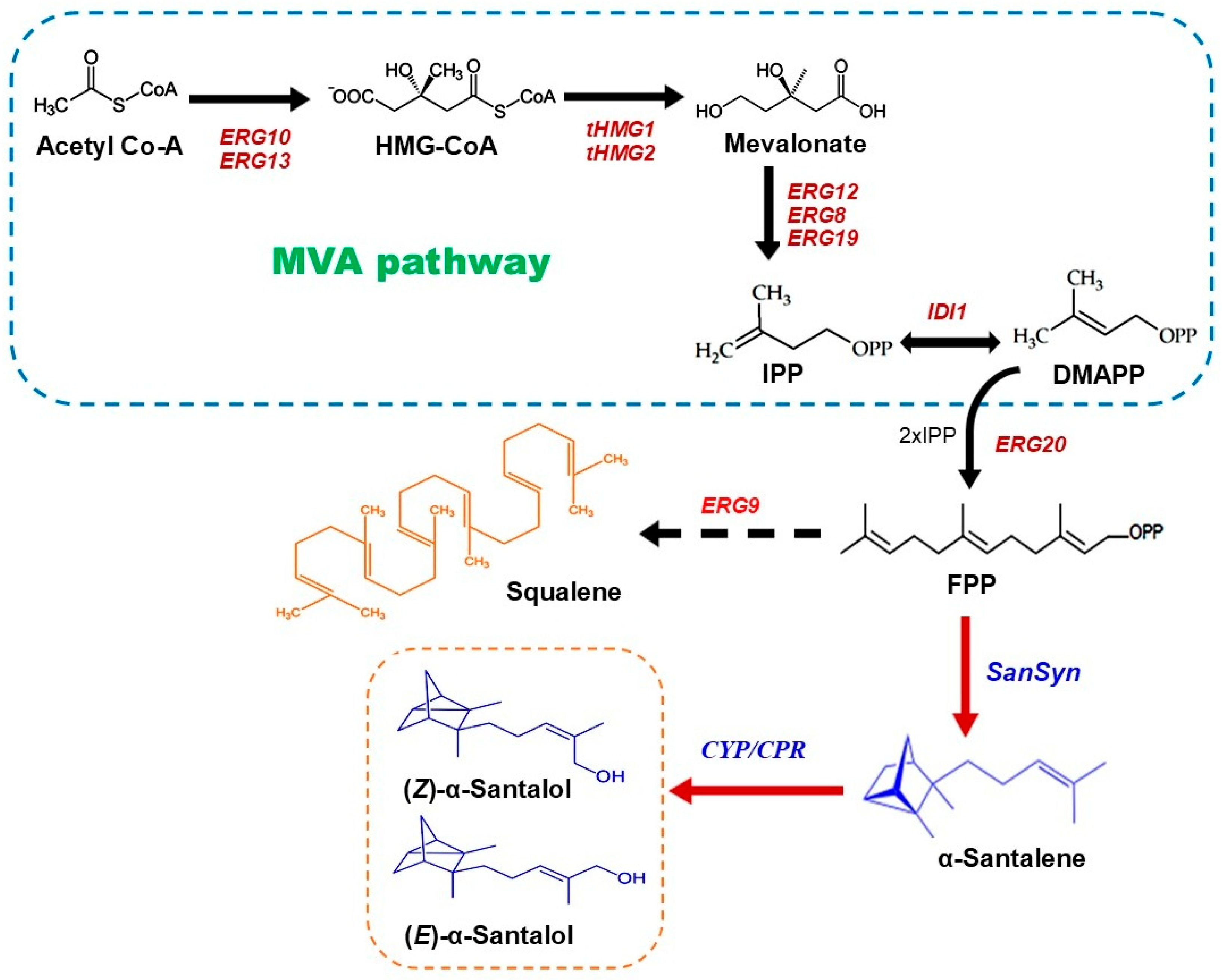 Biomolecules 14 00971 g003