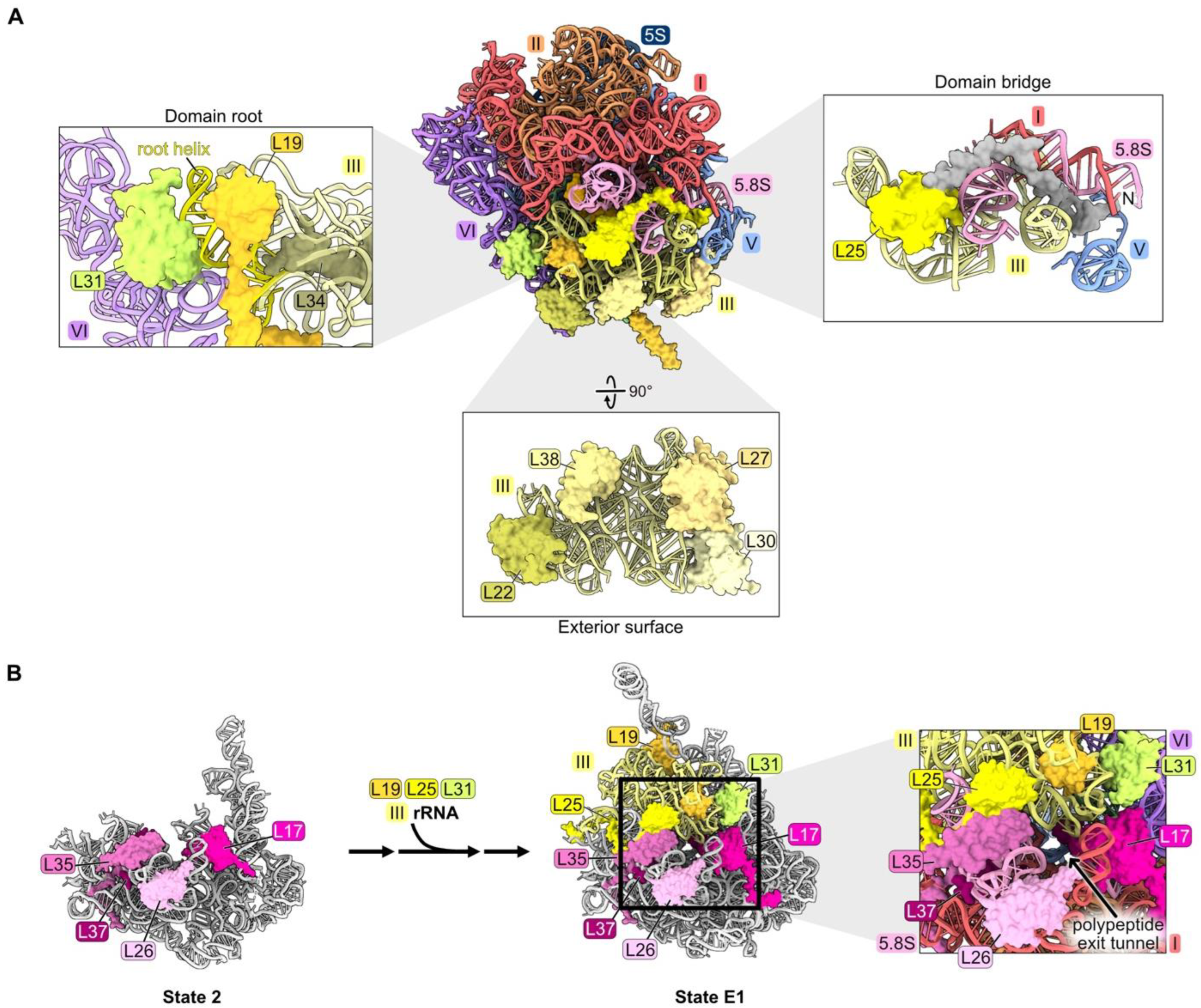 Biomolecules 14 00975 g006 Biomolecules 14 00975 g006