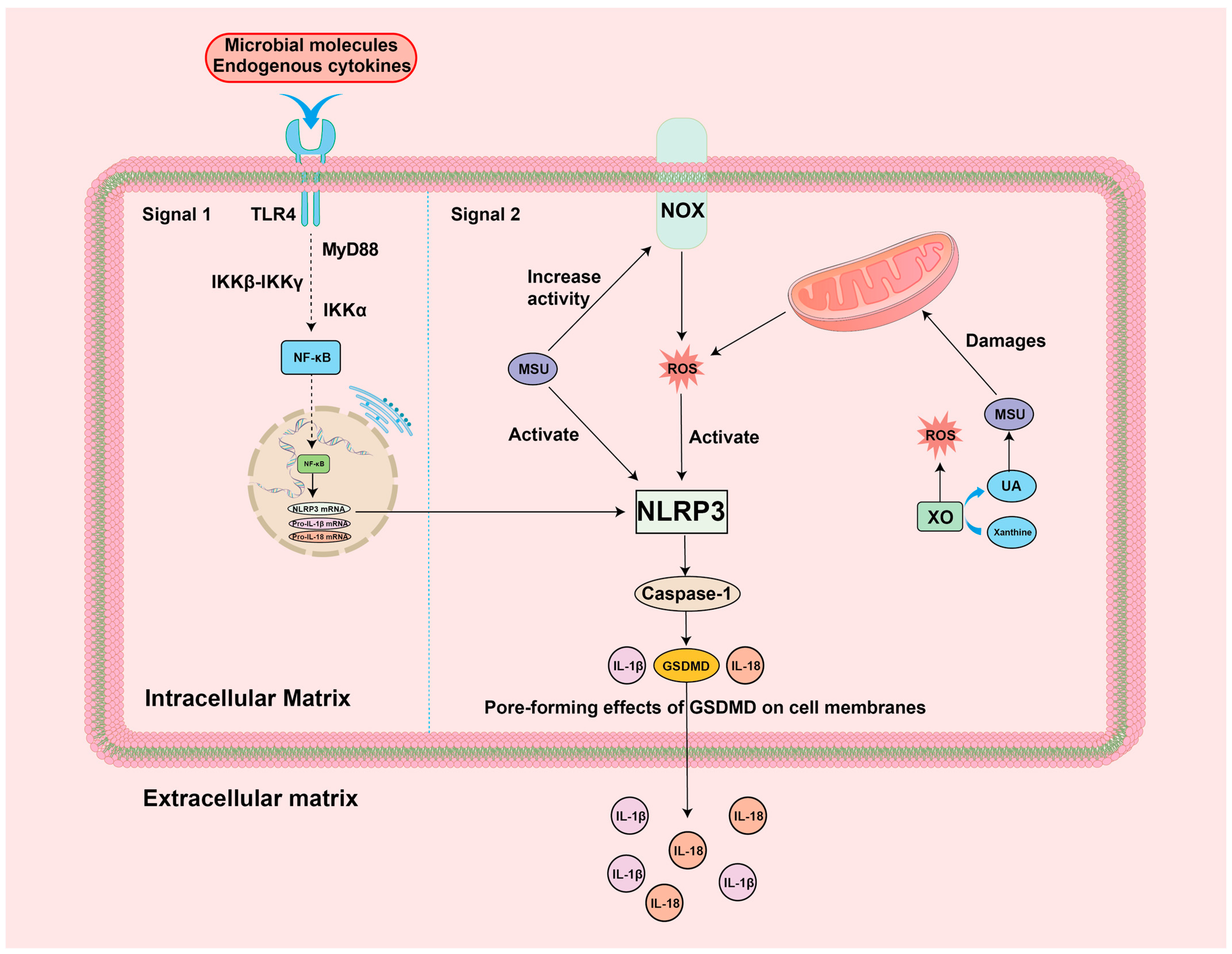 Biomolecules 14 00978 g003