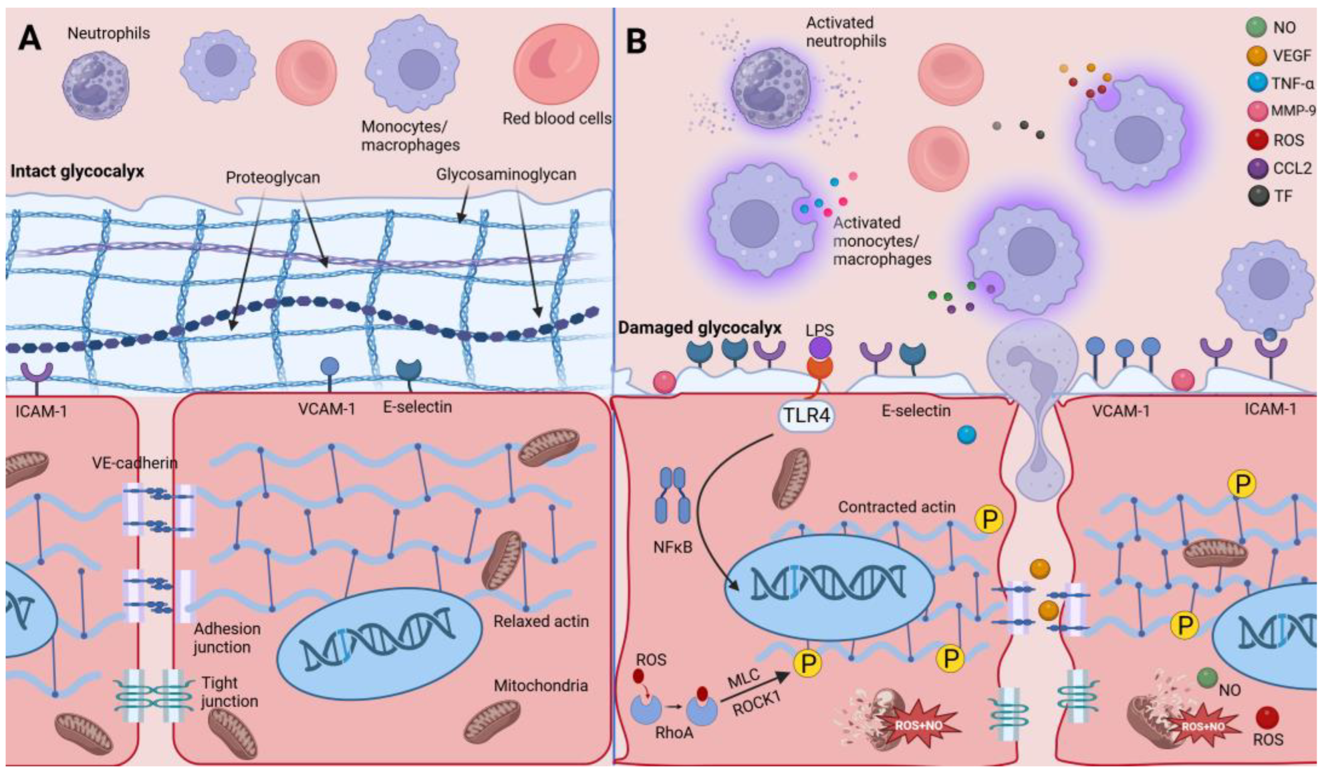 Biomolecules 14 00980 g001