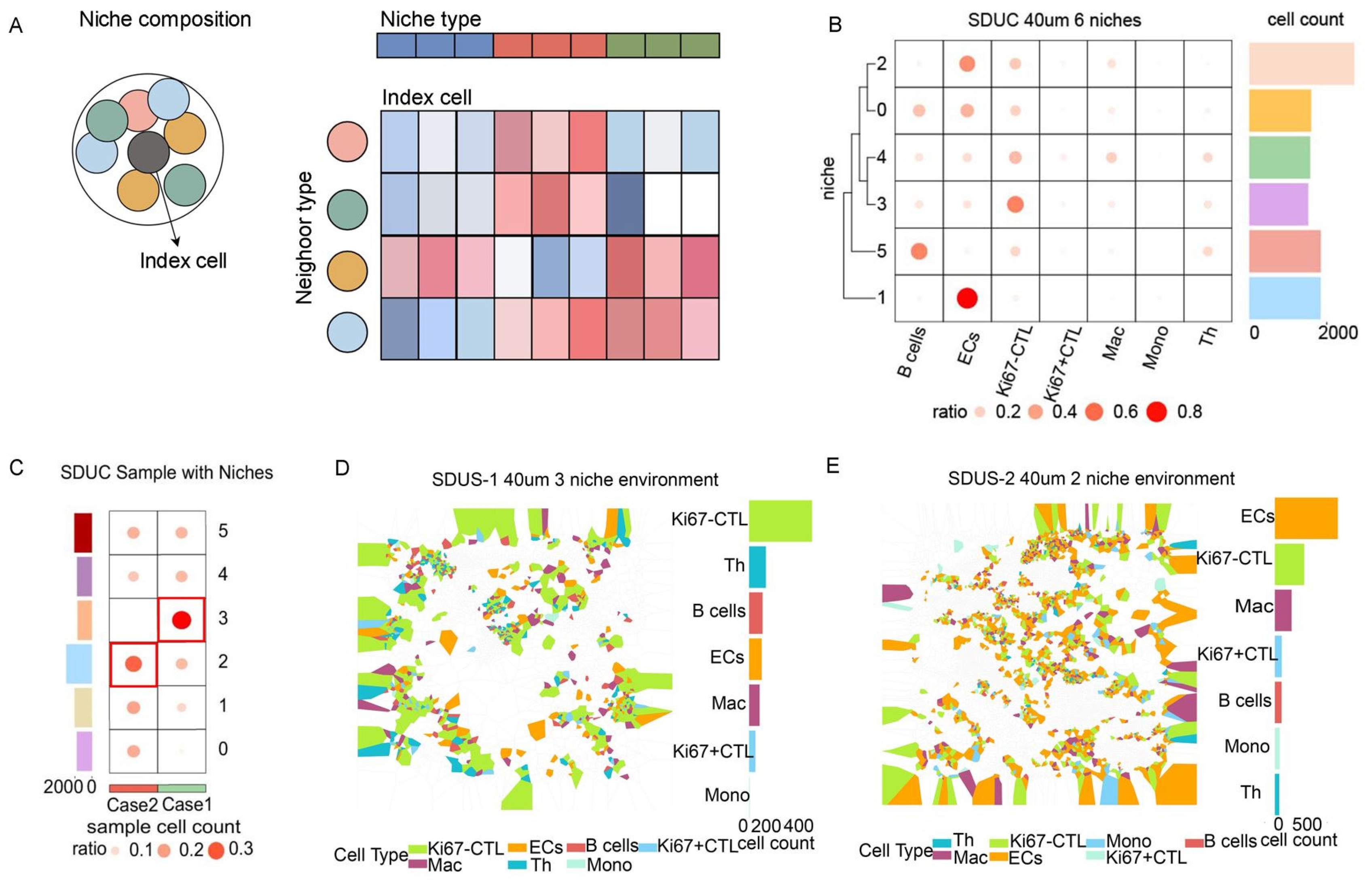Biomolecules 14 00987 g004