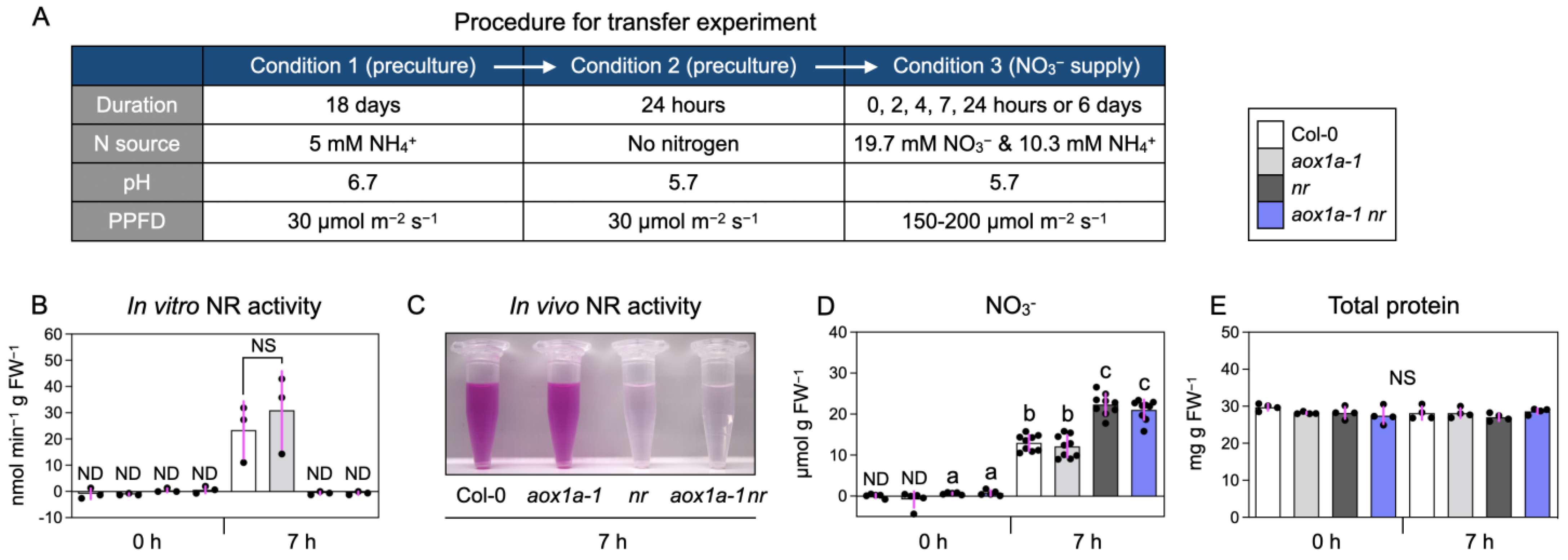 Biomolecules 14 00989 g001
