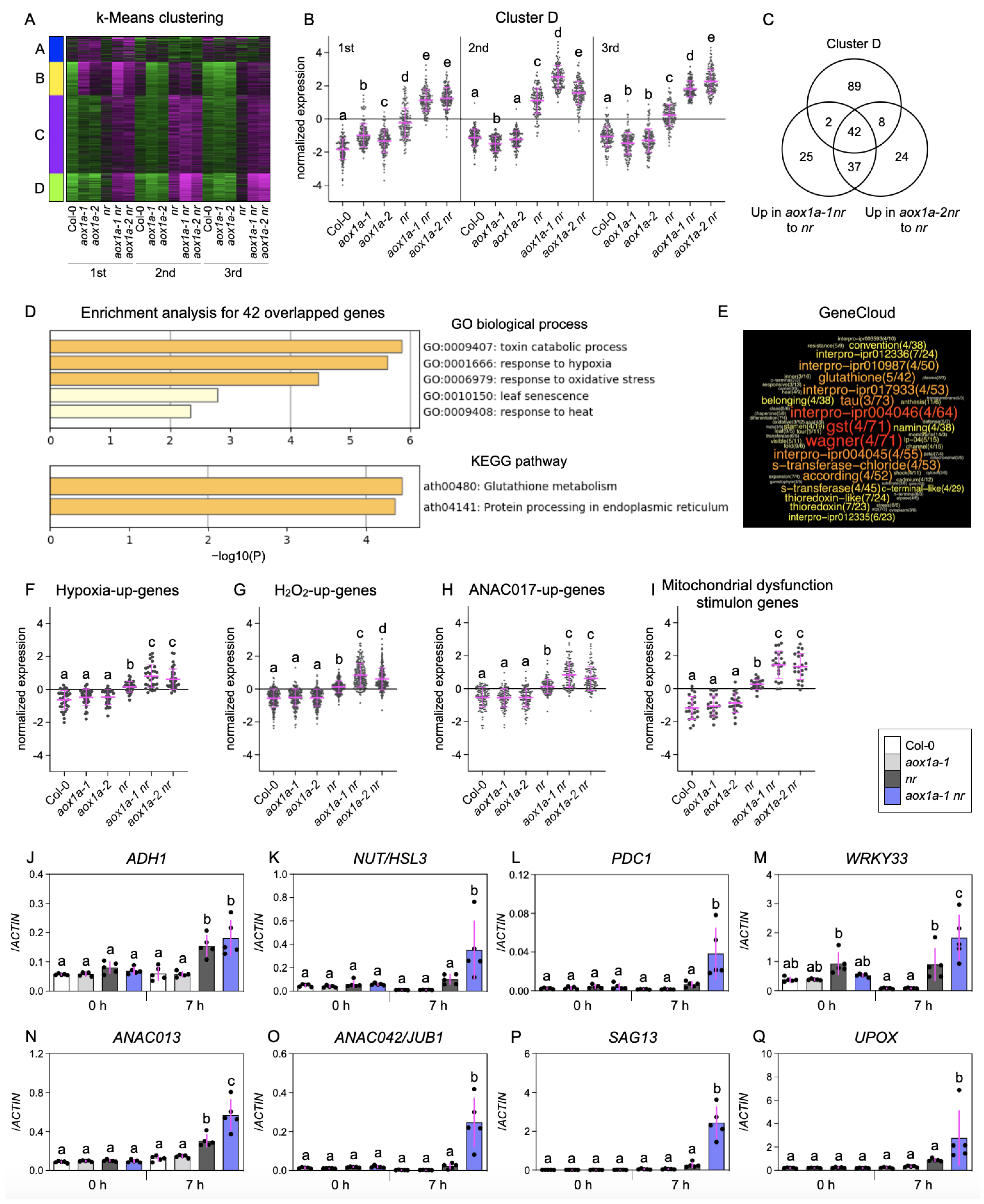 Biomolecules 14 00989 g002