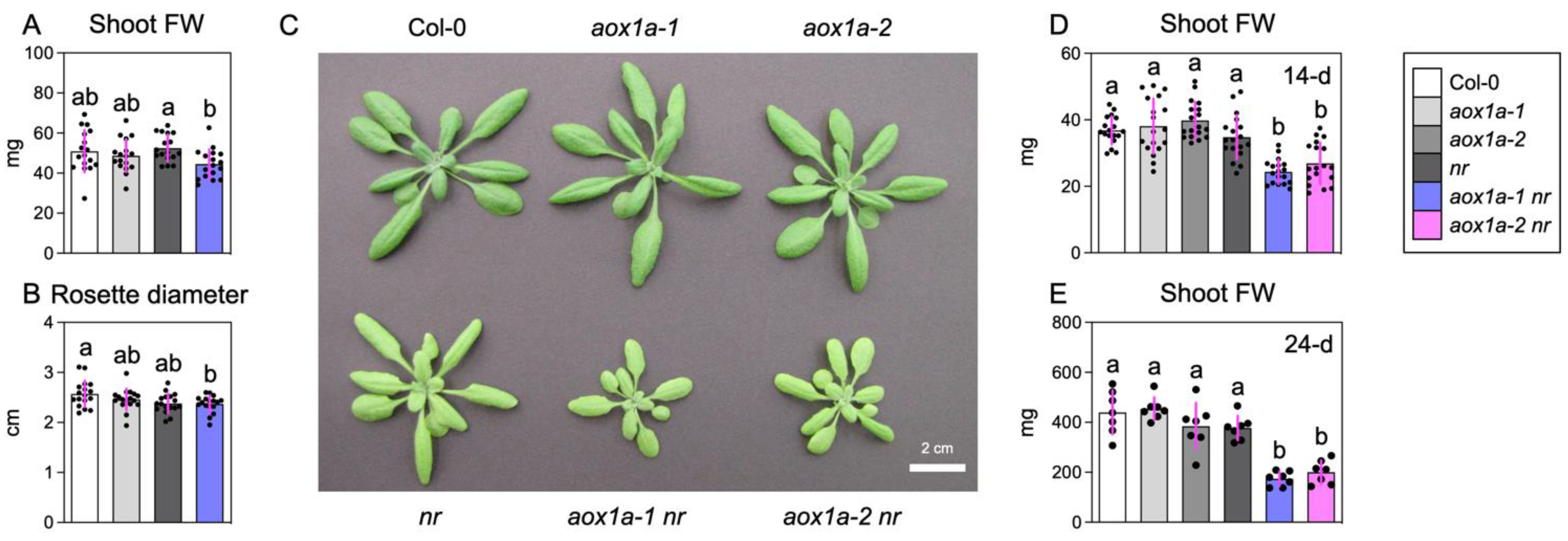 Biomolecules 14 00989 g004