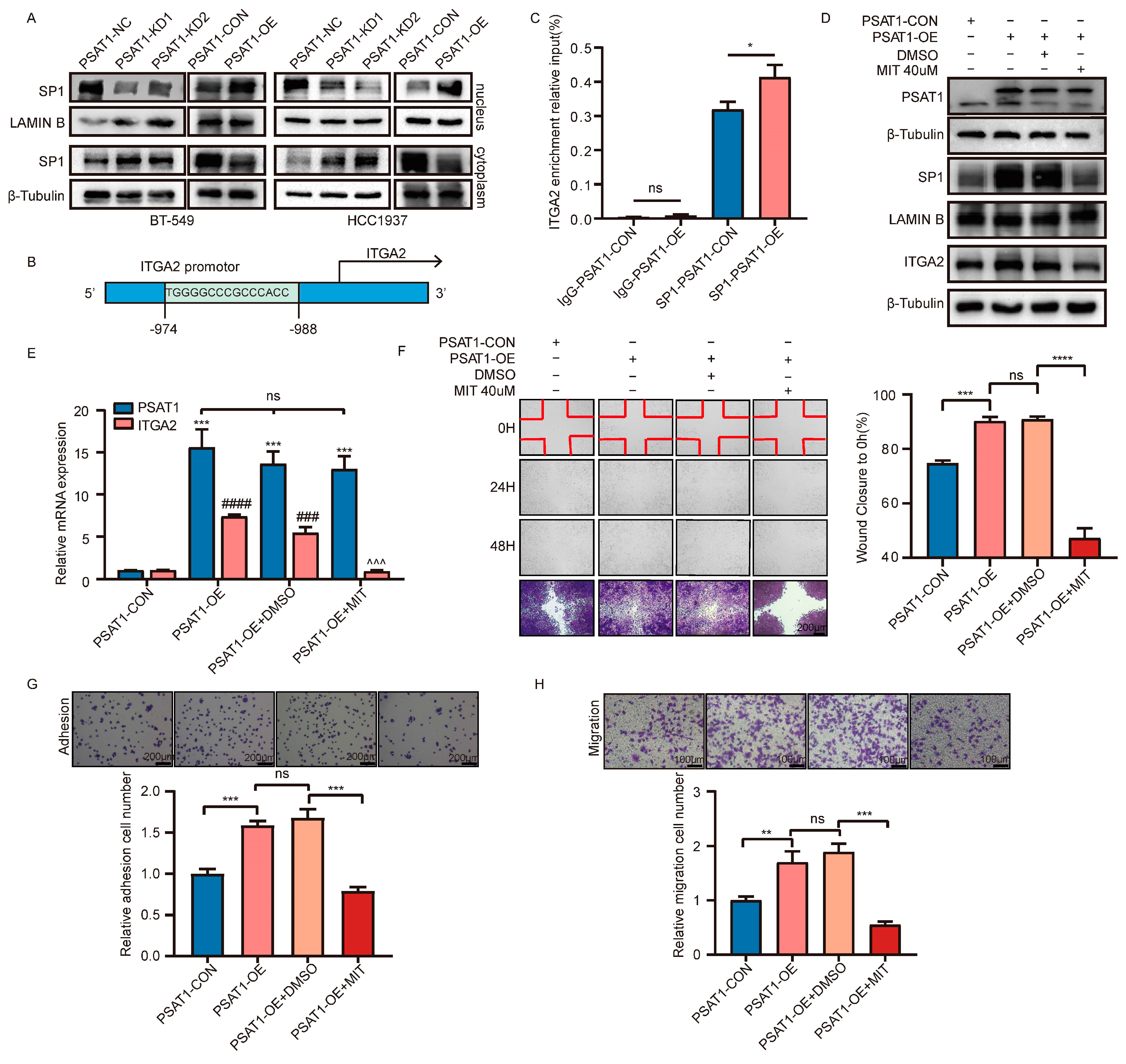 Biomolecules 14 00990 g005 Biomolecules 14 00990 g005