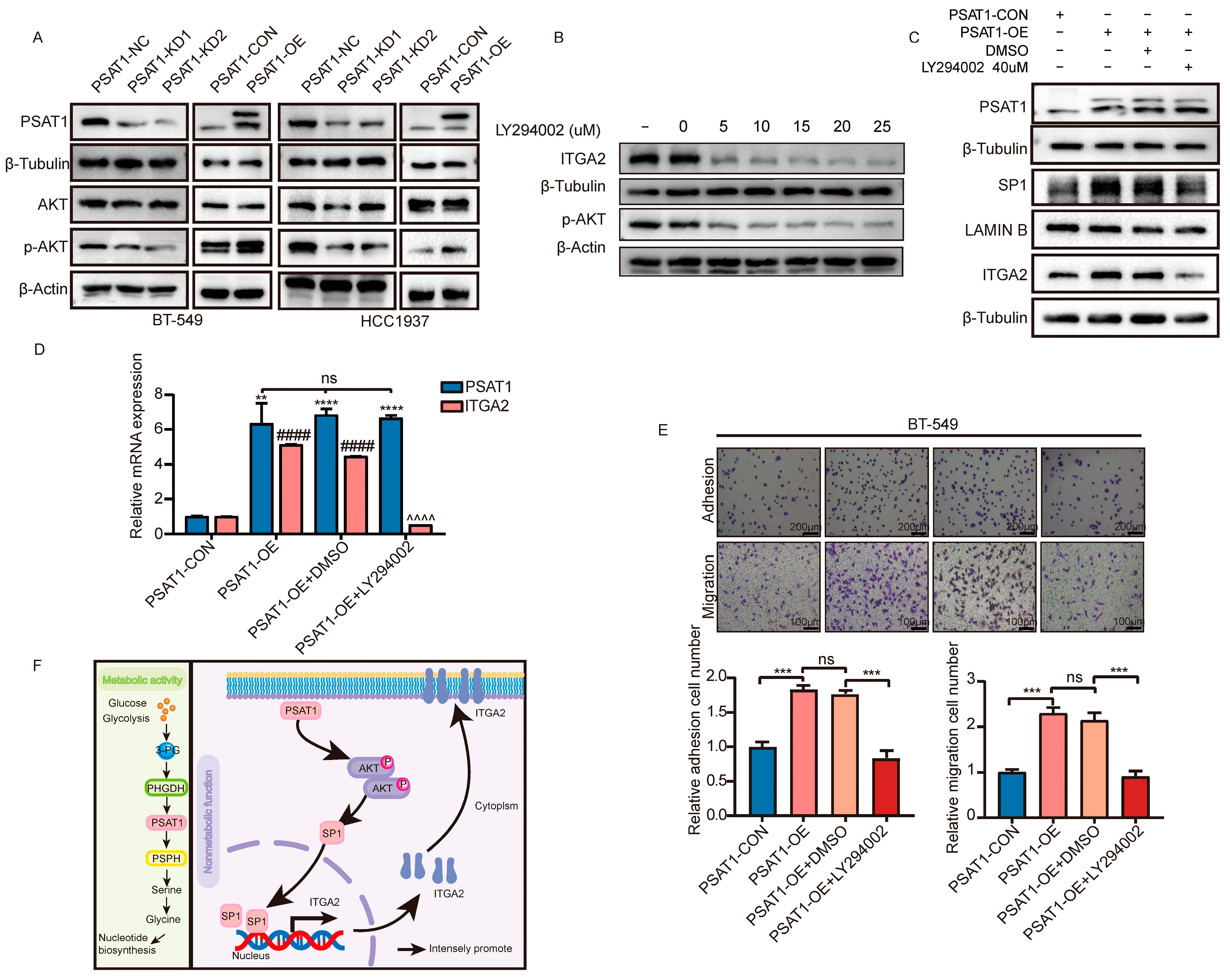 Biomolecules 14 00990 g006 Biomolecules 14 00990 g006