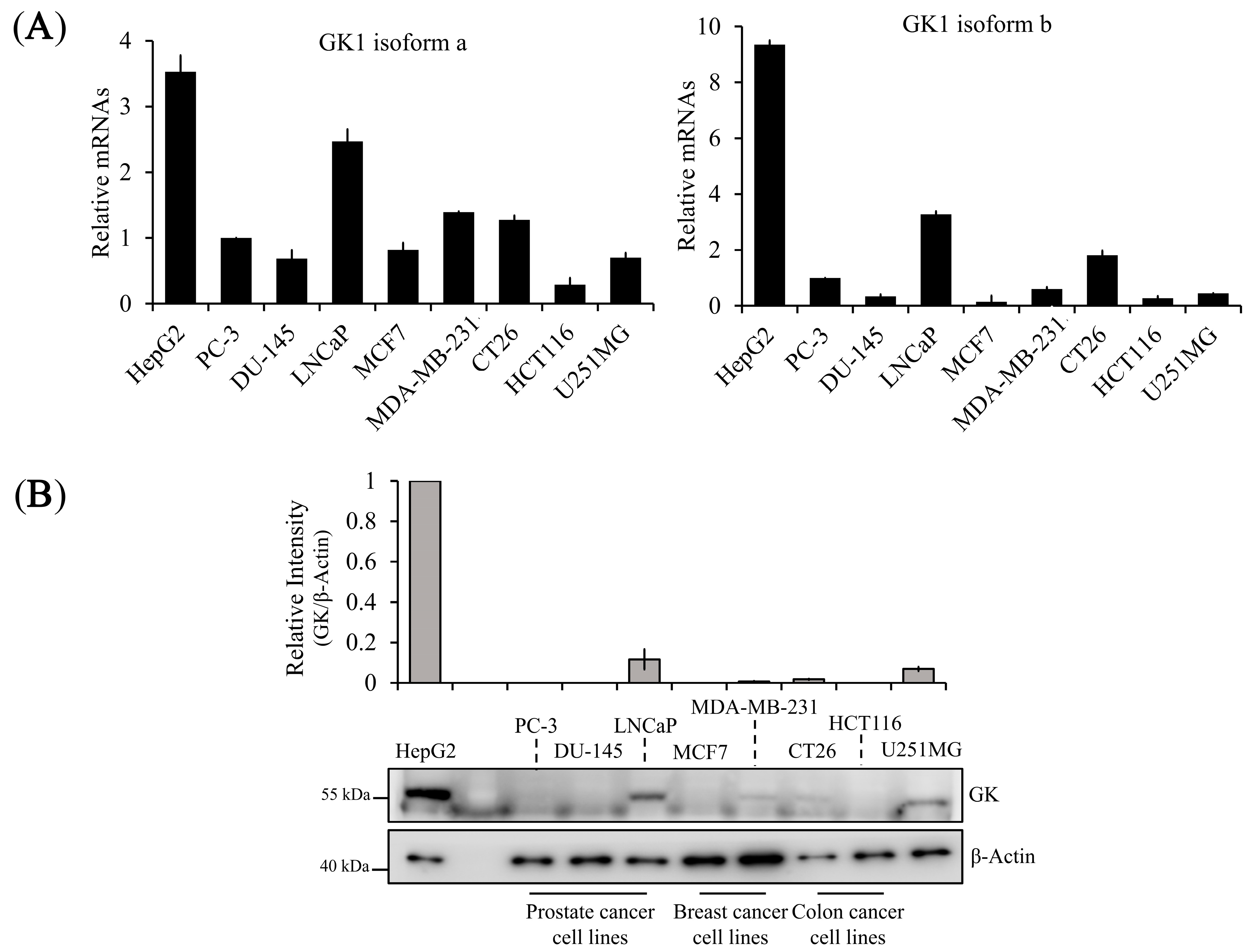 Biomolecules 14 00997 g003