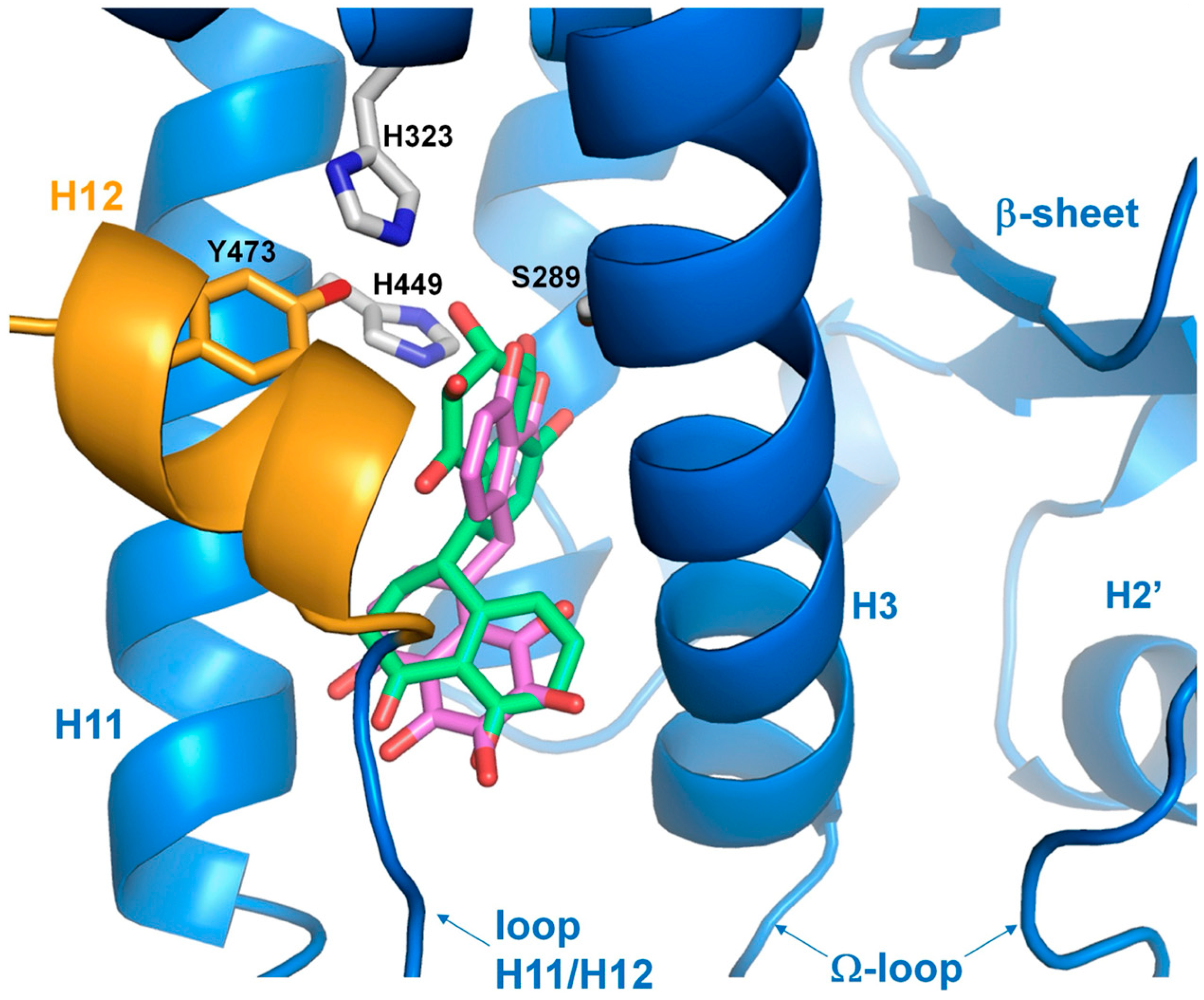 Biomolecules 14 00998 g010 Biomolecules 14 00998 g010