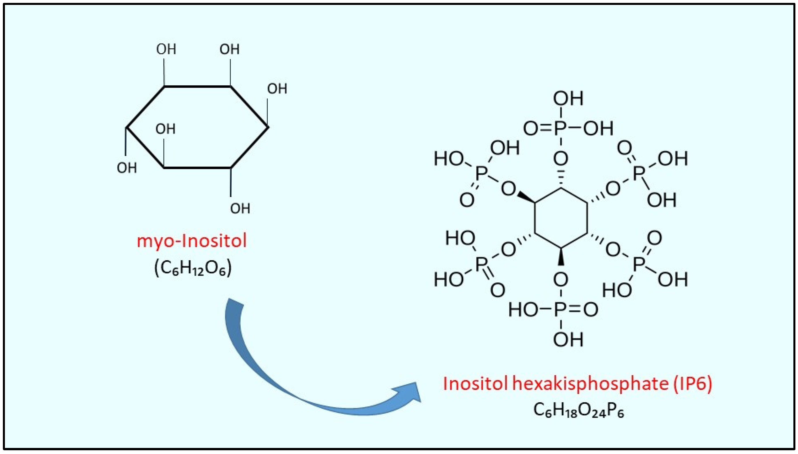 Biomolecules 14 01004 g001