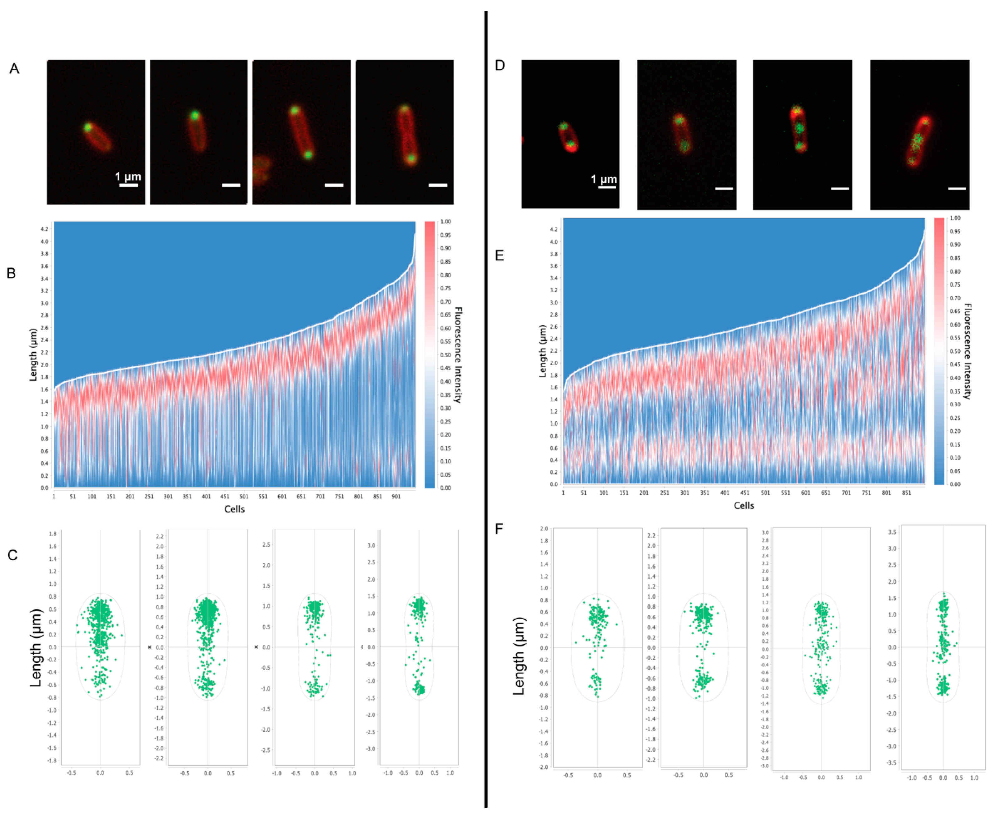 Biomolecules 14 01006 g006 Biomolecules 14 01006 g006