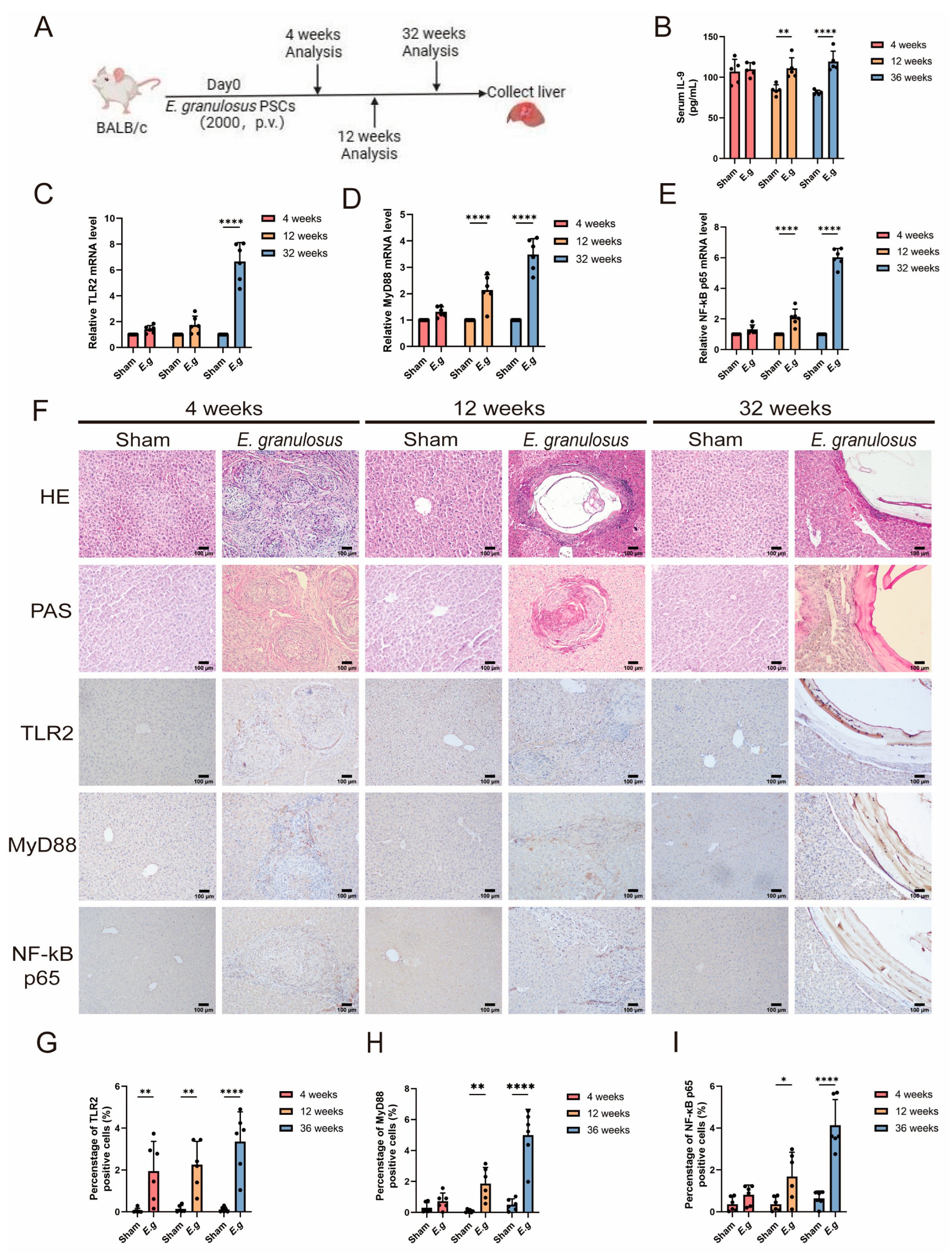 Biomolecules 14 01007 g002
